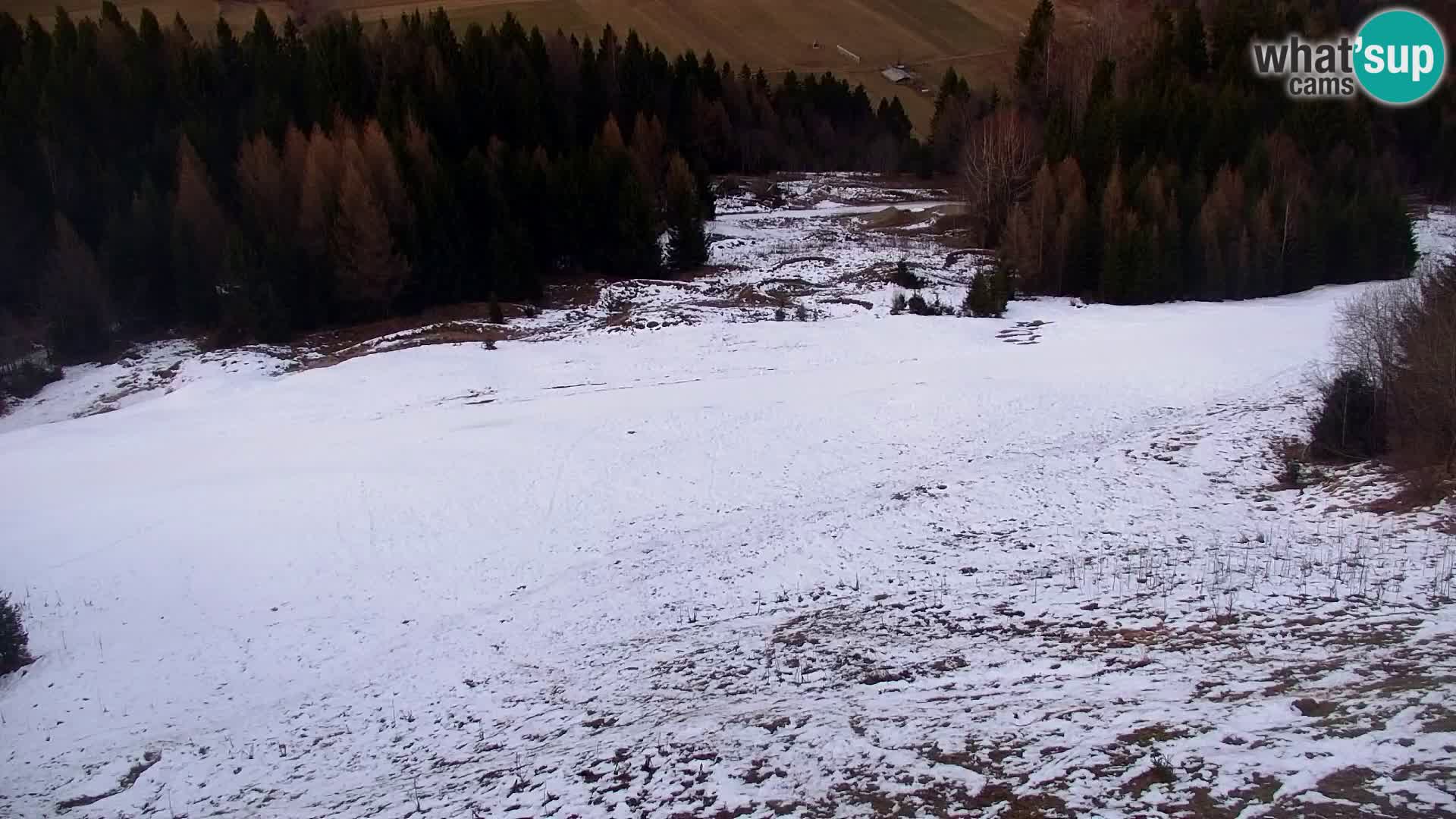 Kranjska Gora web kamera Vitranc | VITRANC 1 gornja postaja