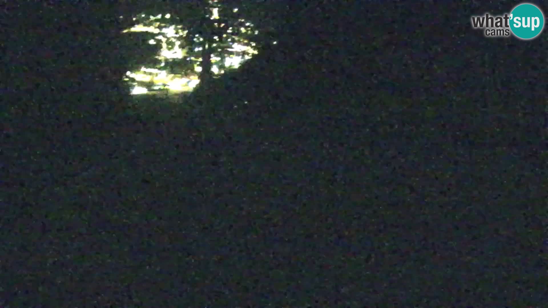 Kranjska Gora livecam VITRANC 1 | estación superior