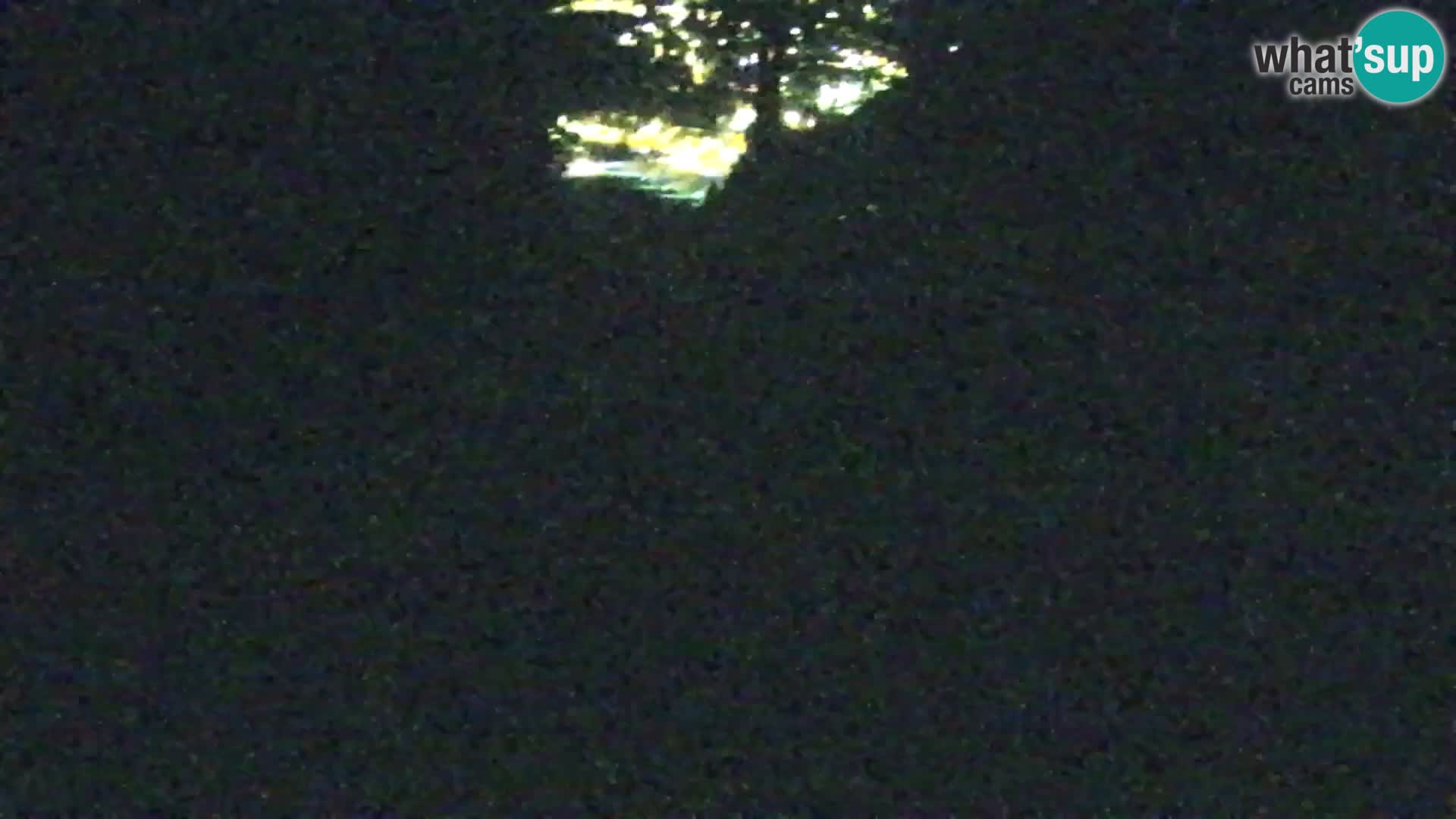 Vitranc Kranjska Gora webcam | VITRANC 1 stazione superiore