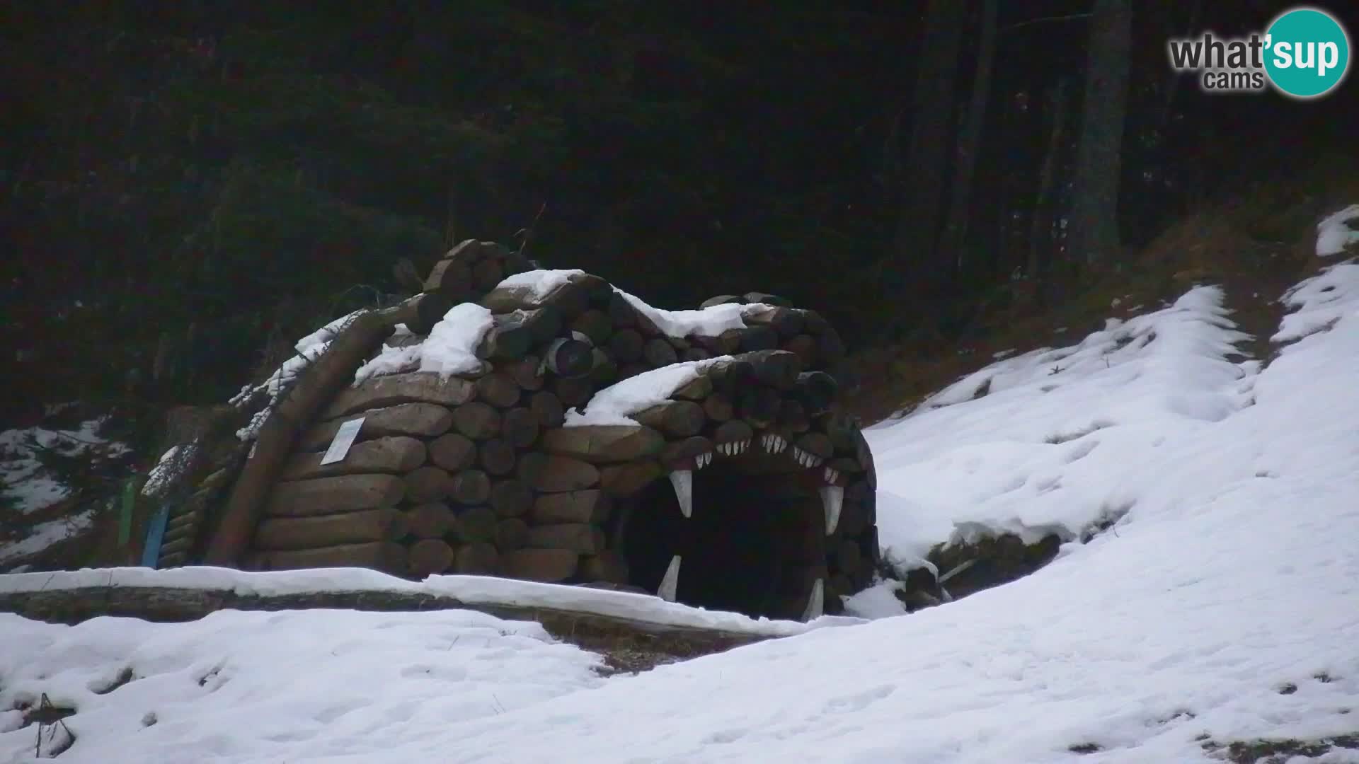 Vitranc Kranjska Gora webcam | VITRANC 1 stazione superiore