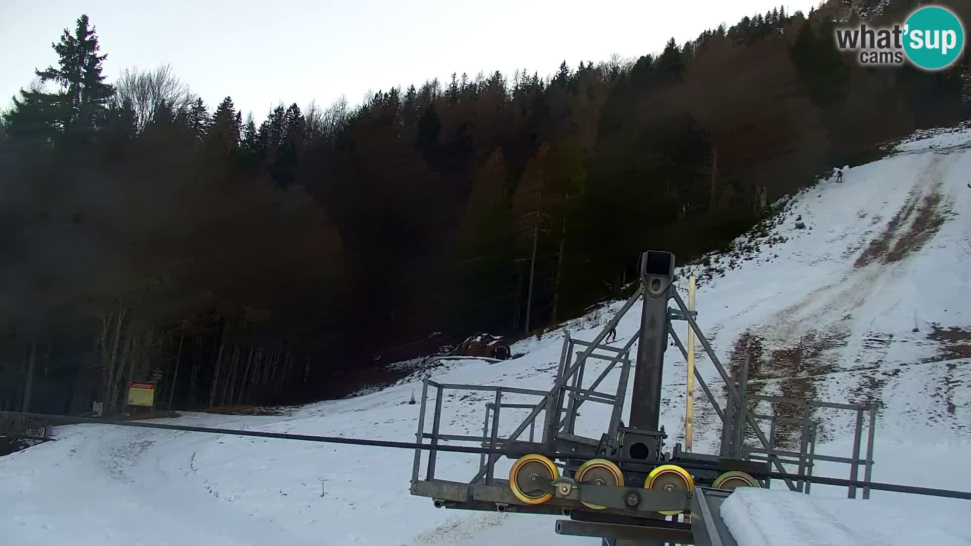 Vitranc Kranjska Gora webcam | VITRANC 1 stazione superiore