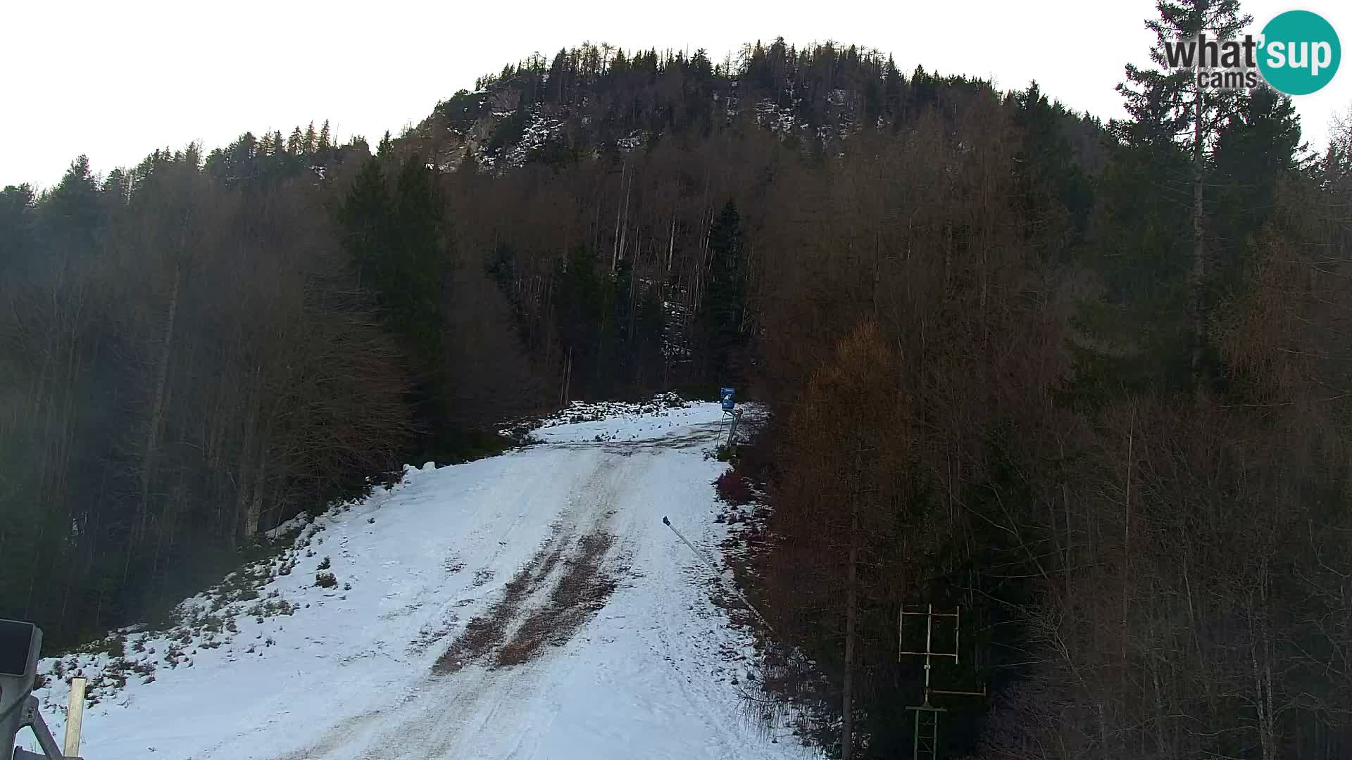 Vitranc Kranjska Gora webcam | VITRANC 1 stazione superiore