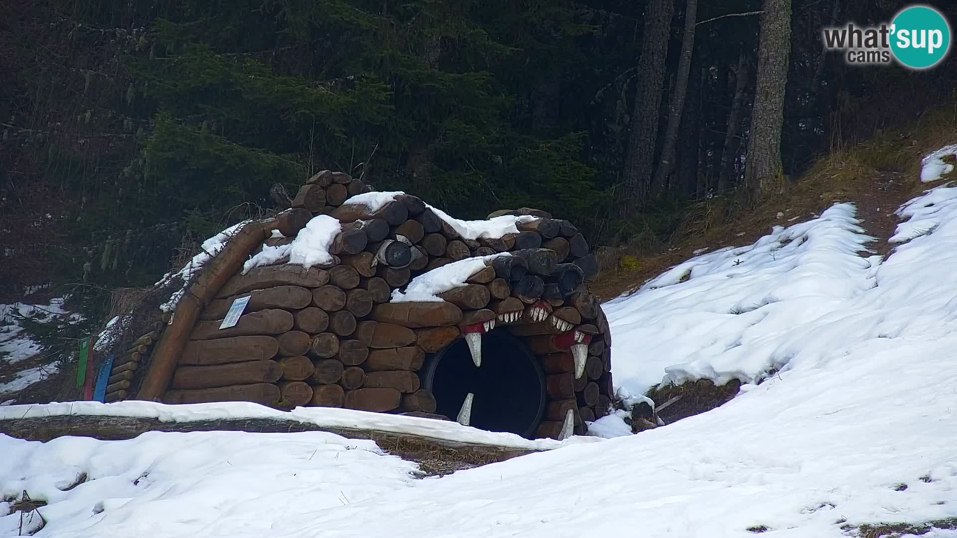 Kranjska Gora web kamera Vitranc | VITRANC 1 gornja postaja