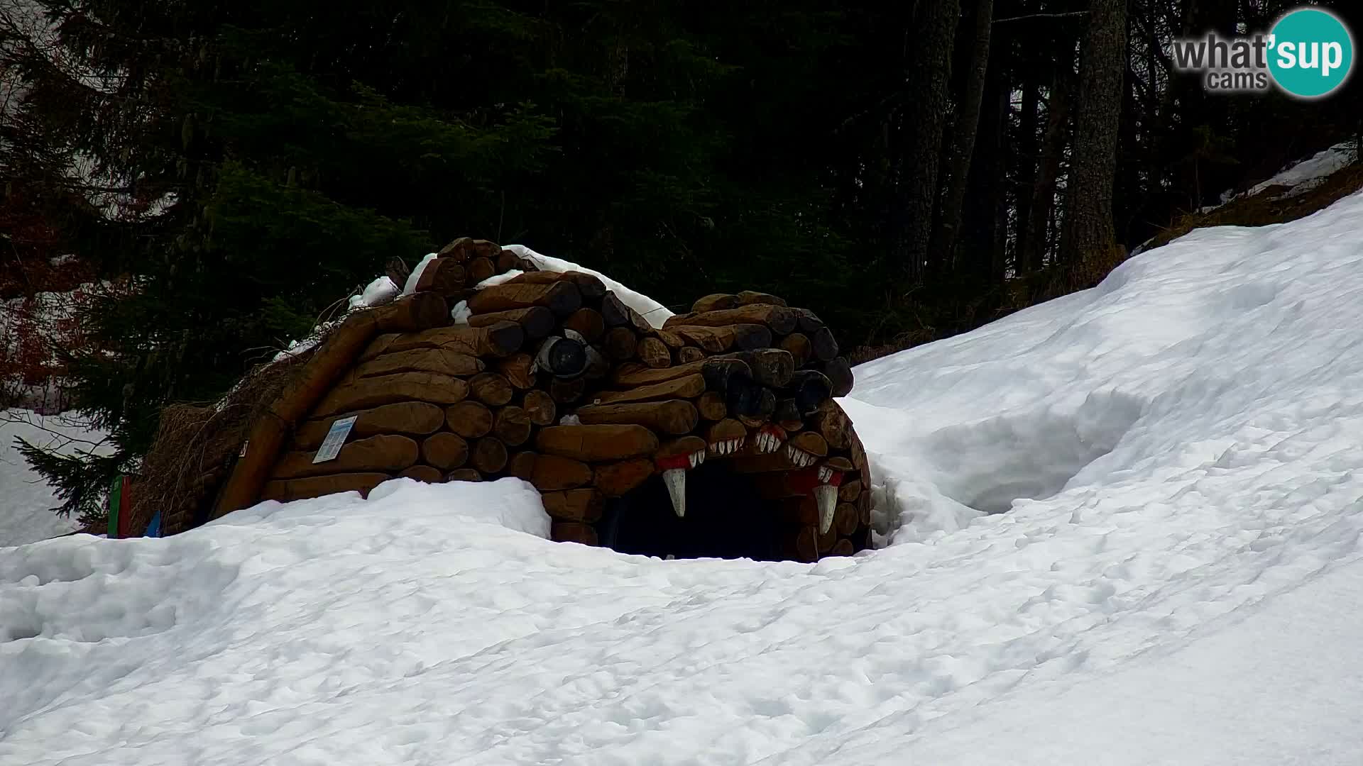 Kranjska Gora livecam VITRANC 1 | estación superior