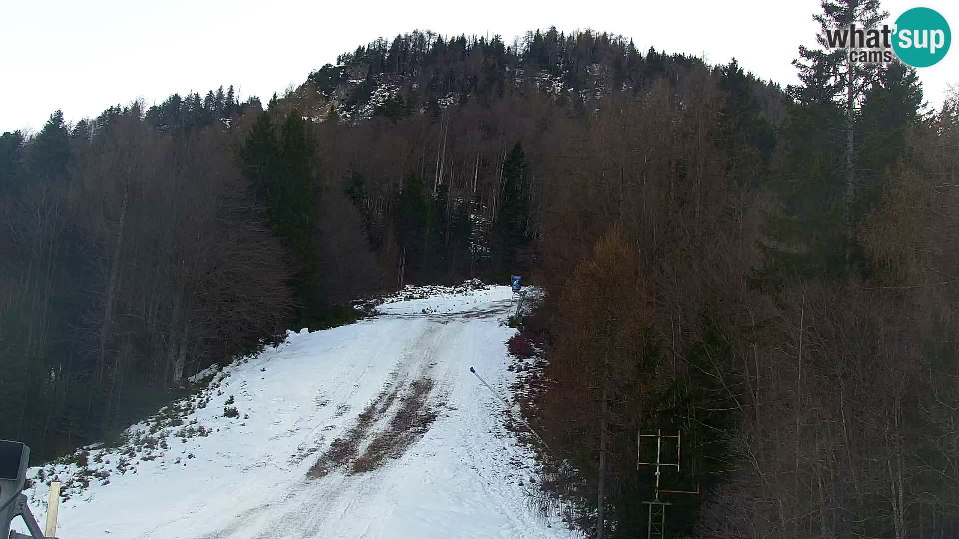 Kranjska Gora kamera VITRANC 1 | Zgornja postaja