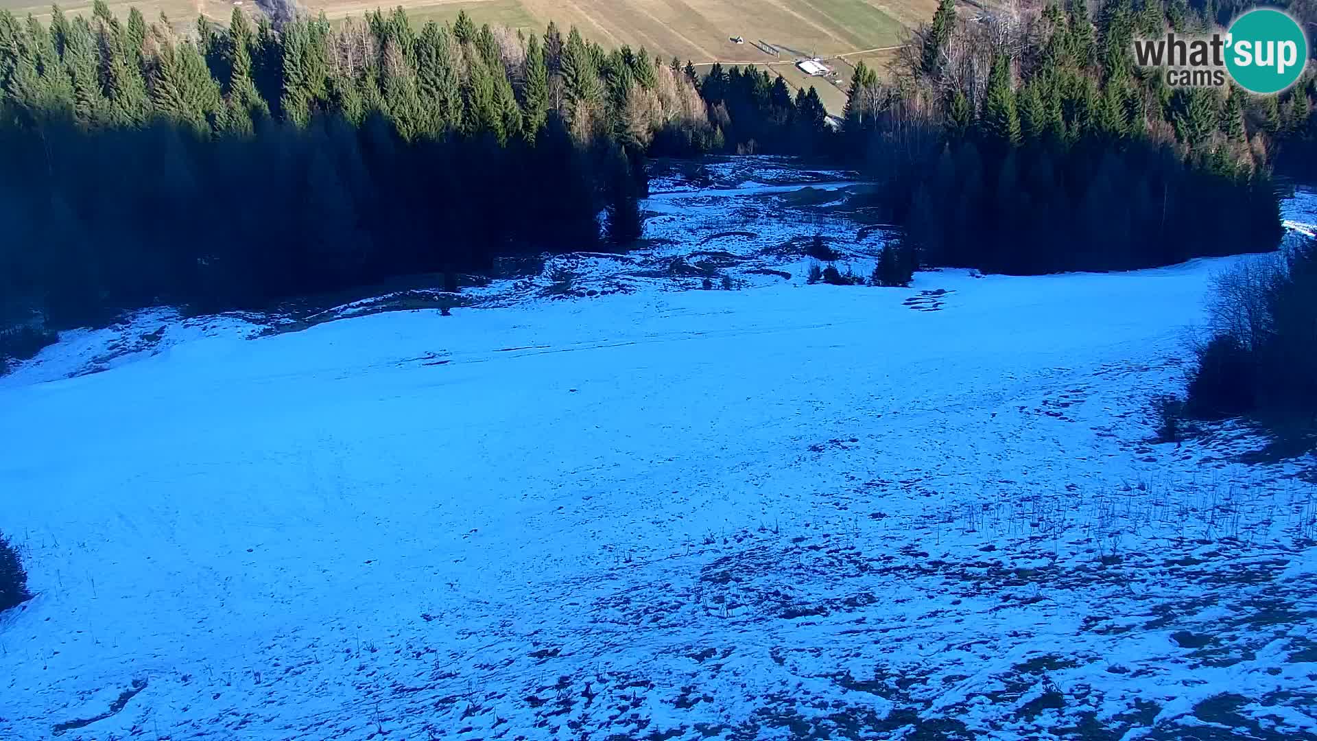 Vitranc Kranjska Gora webcam | VITRANC 1 stazione superiore