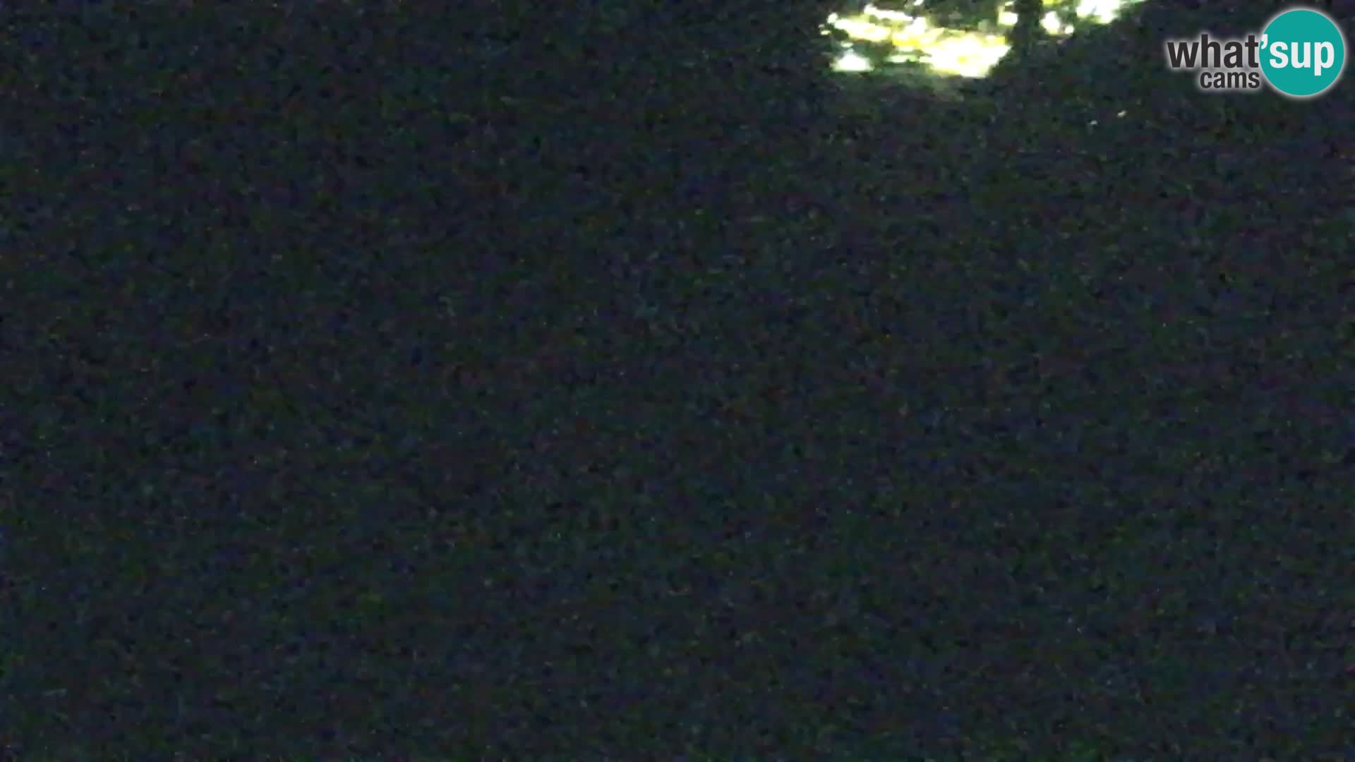 Kranjska Gora livecam VITRANC 1 | estación superior