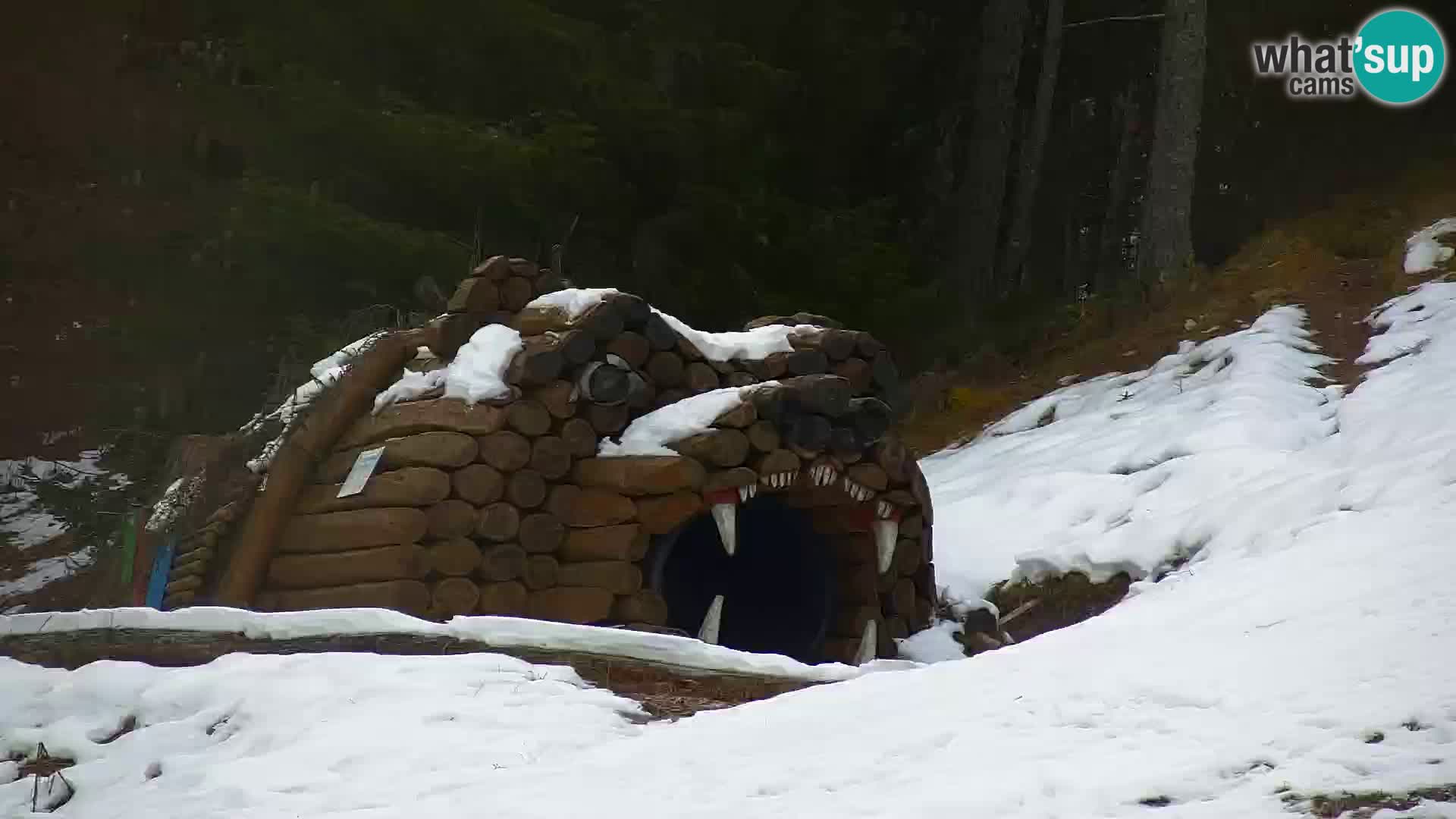 Kranjska Gora kamera VITRANC 1 | Zgornja postaja