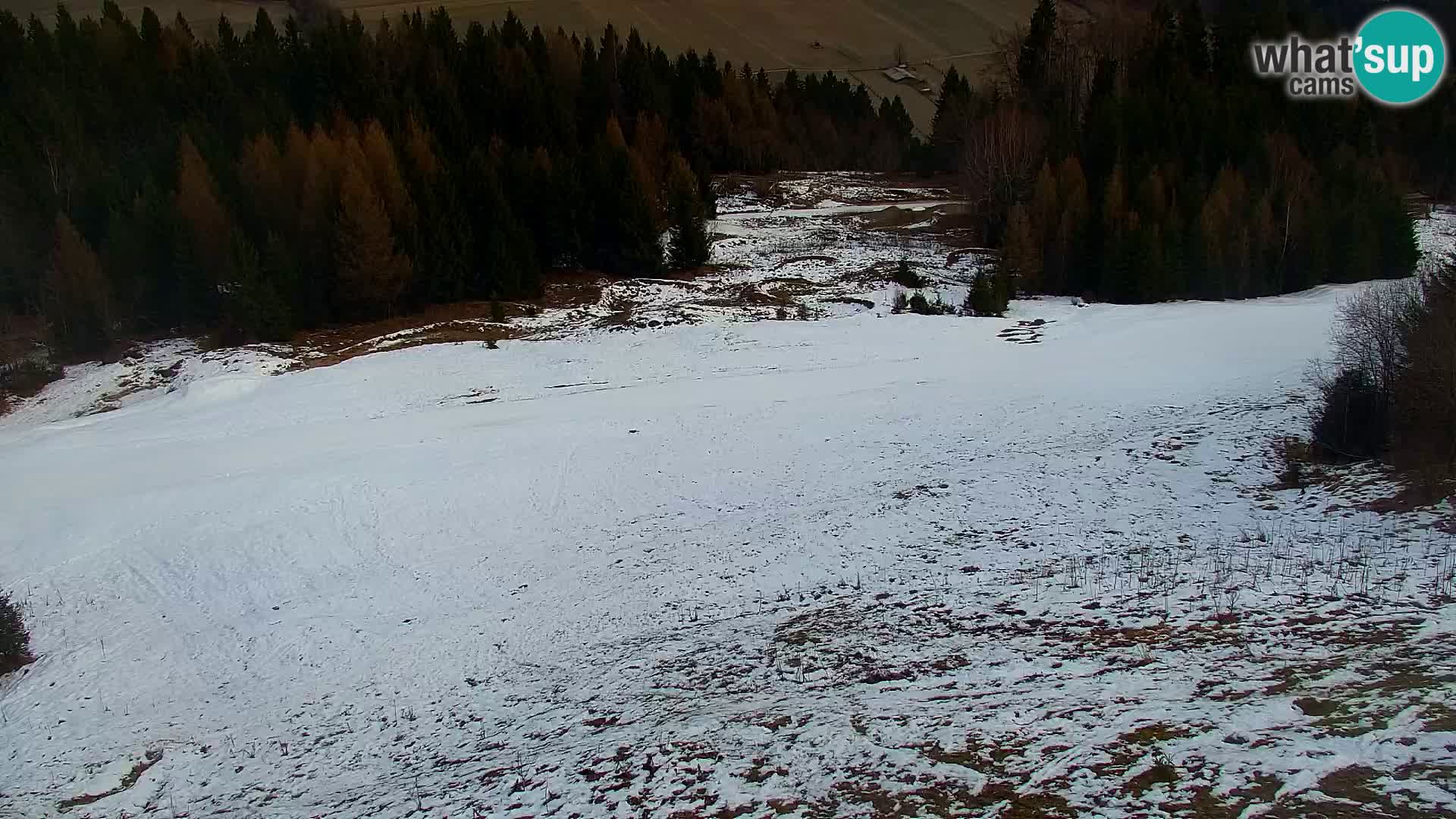 Kranjska Gora livecam VITRANC 1 | estación superior