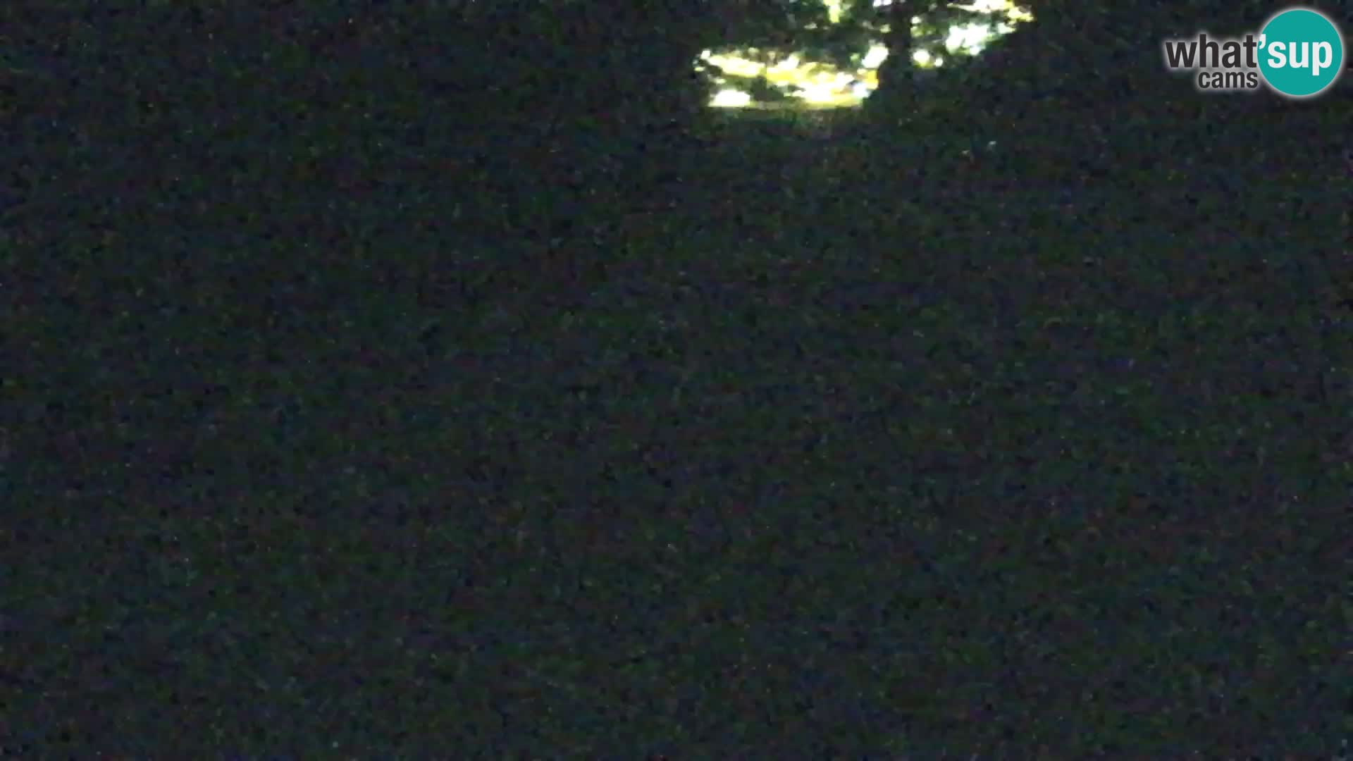 Vitranc Kranjska Gora webcam | VITRANC 1 stazione superiore