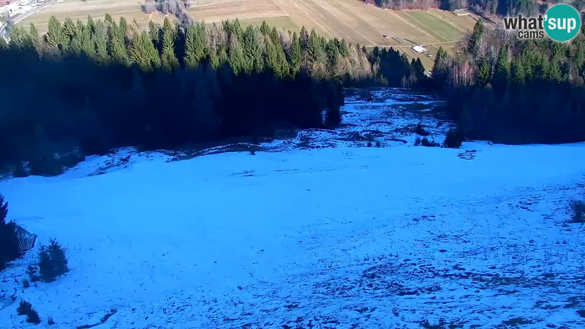 Vitranc Kranjska Gora webcam | VITRANC 1 stazione superiore