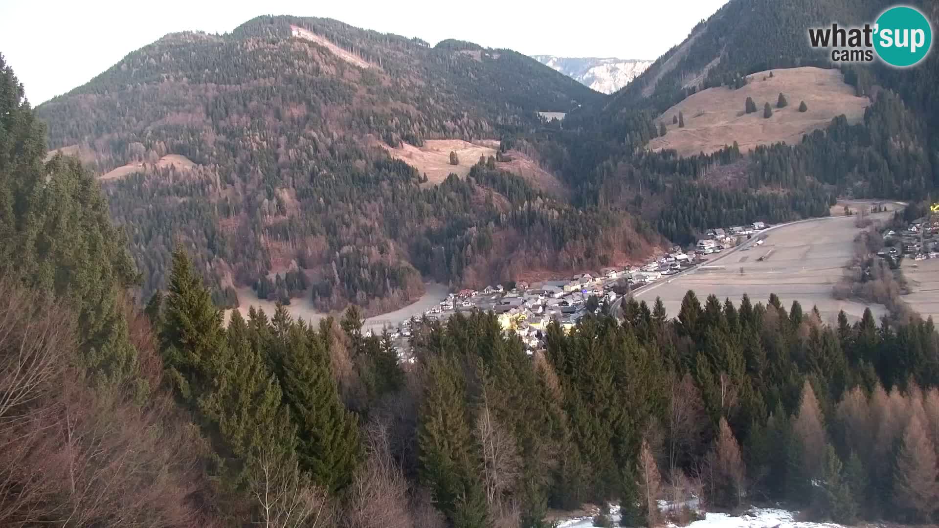 Vitranc Kranjska Gora webcam | VITRANC 1 stazione superiore