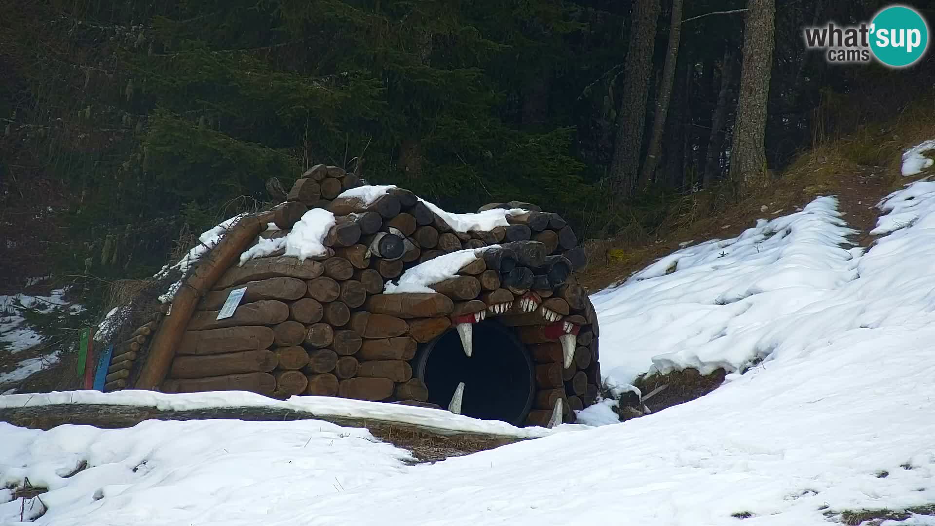 Kranjska Gora livecam VITRANC 1 | estación superior