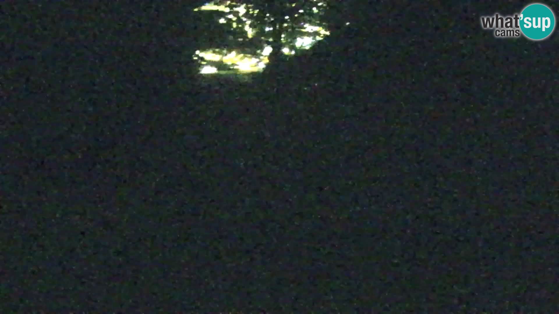 Vitranc Kranjska Gora webcam | VITRANC 1 stazione superiore