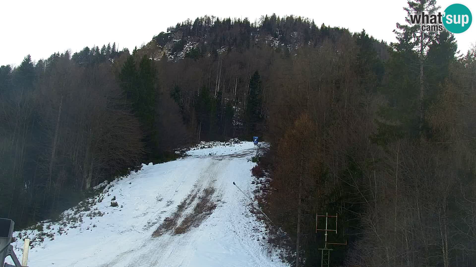 Kranjska Gora web kamera Vitranc | VITRANC 1 gornja postaja