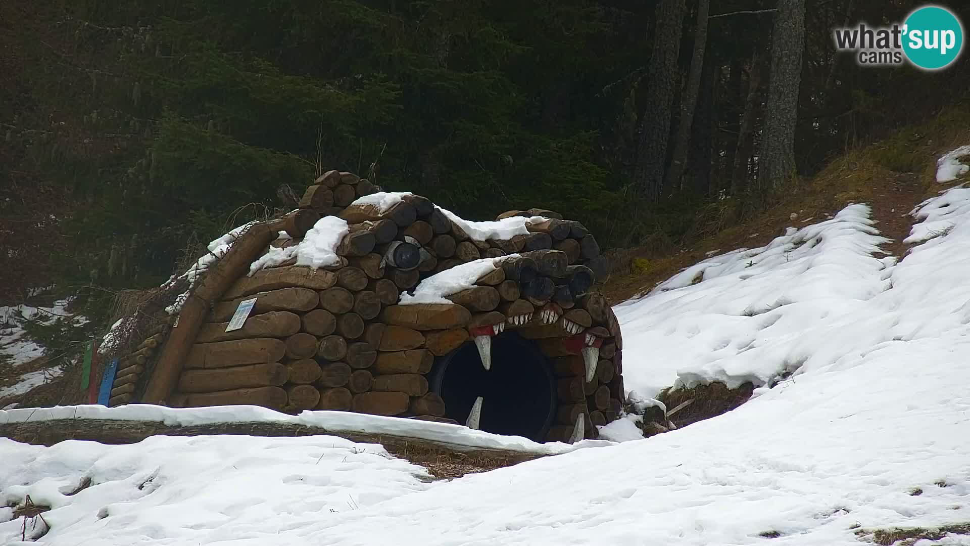 Kranjska Gora kamera VITRANC 1 | Zgornja postaja