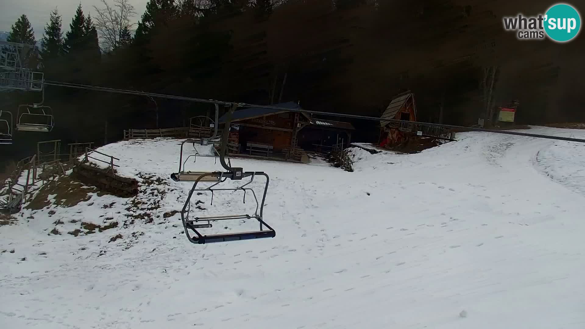 Vitranc Kranjska Gora webcam | VITRANC 1 stazione superiore