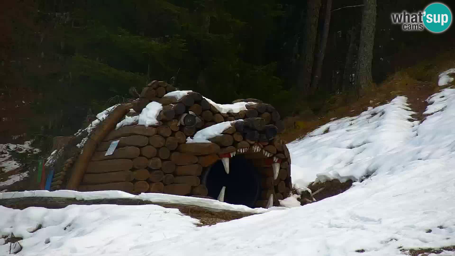 Kranjska Gora livecam VITRANC 1 | estación superior