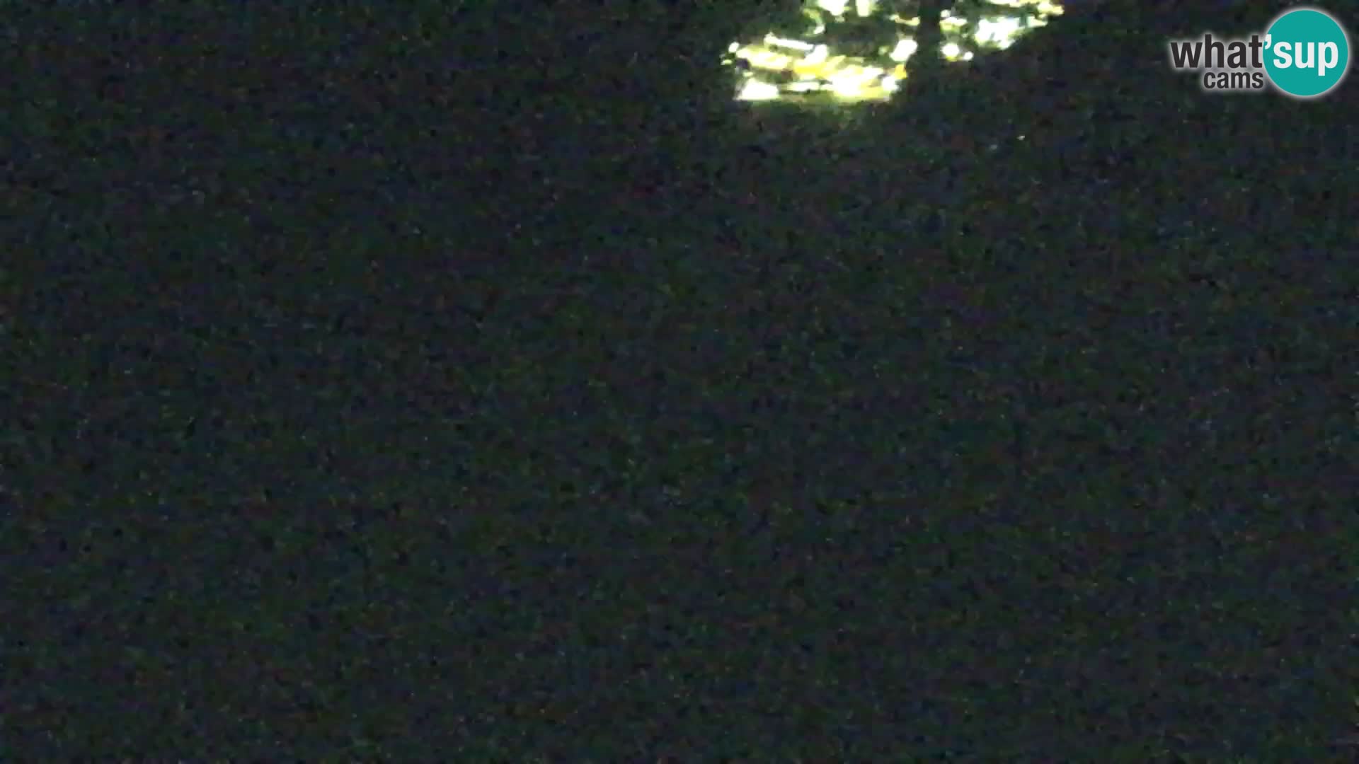 Kranjska Gora web kamera Vitranc | VITRANC 1 gornja postaja