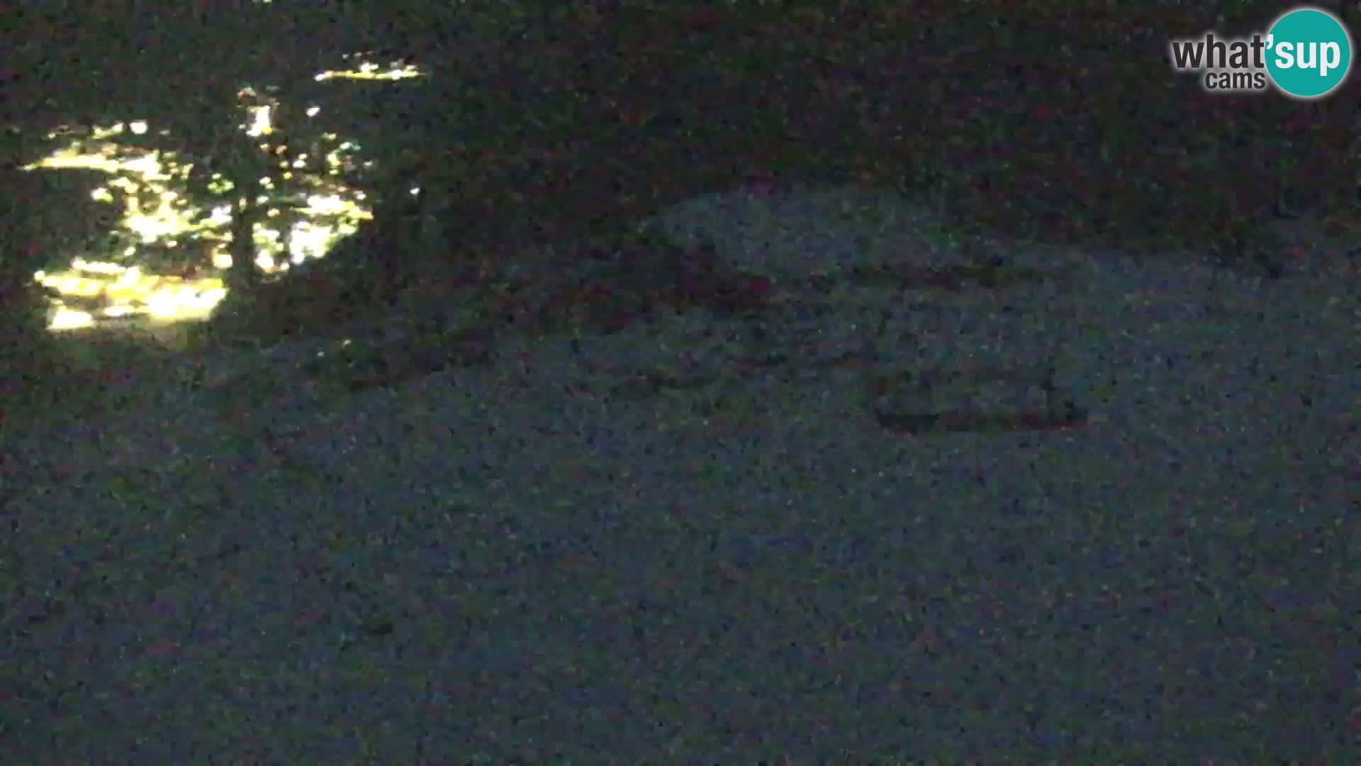 Vitranc Kranjska Gora webcam | VITRANC 1 stazione superiore