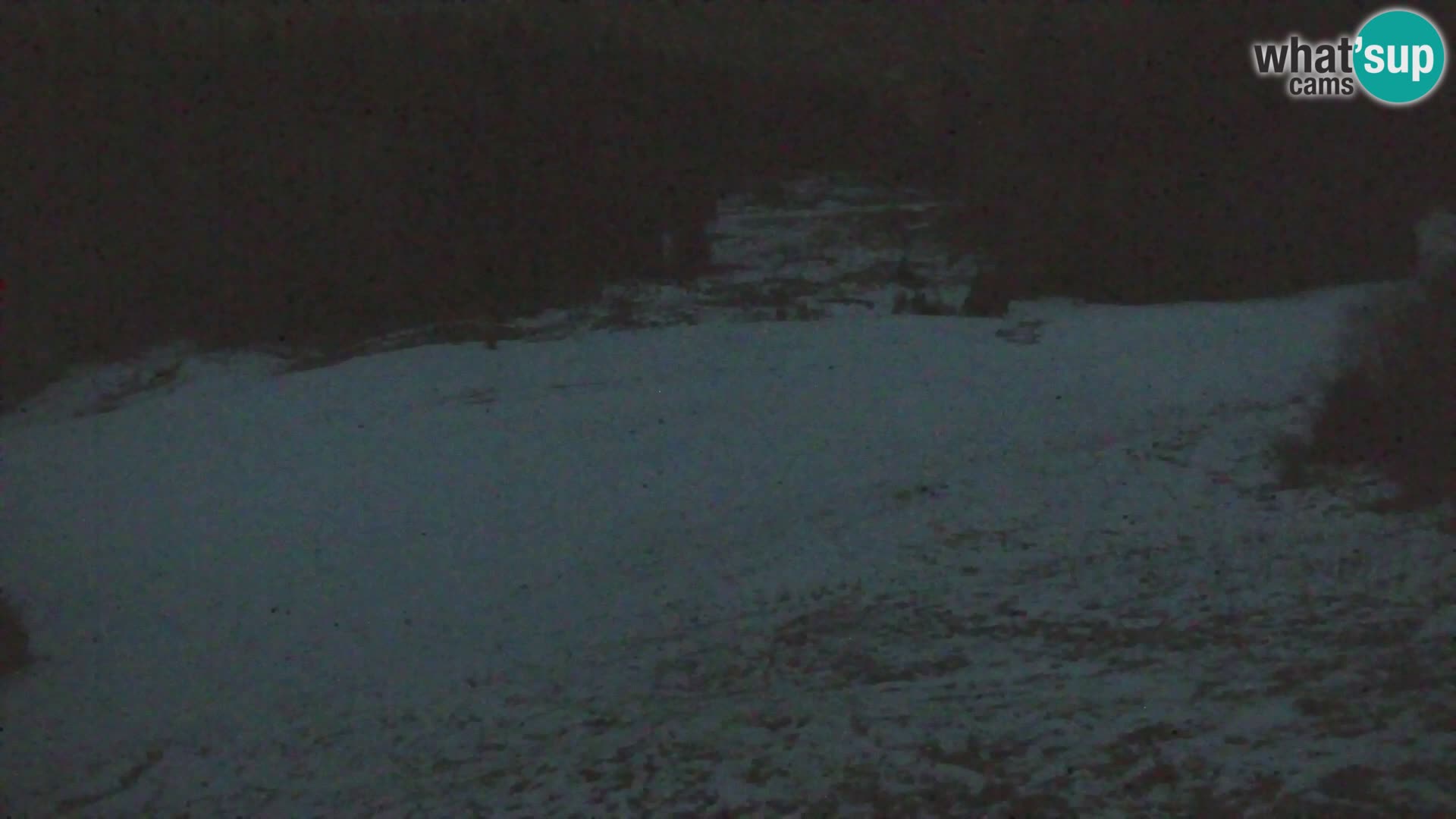 Kranjska Gora livecam VITRANC 1 | estación superior