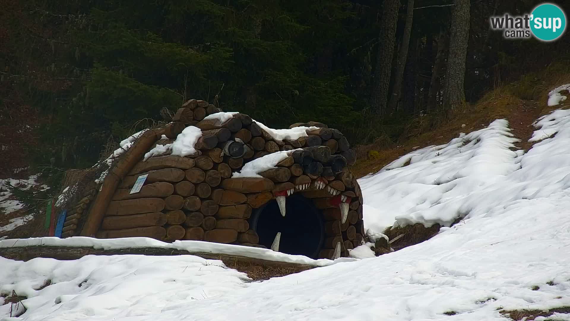 Kranjska Gora livecam VITRANC 1 | estación superior