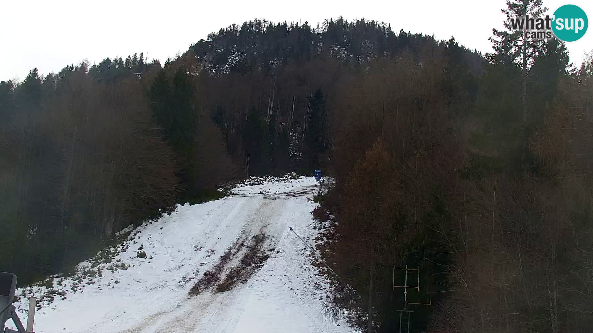 Estación de esquí Kranjska Gora | Estación superior VITRANC 1