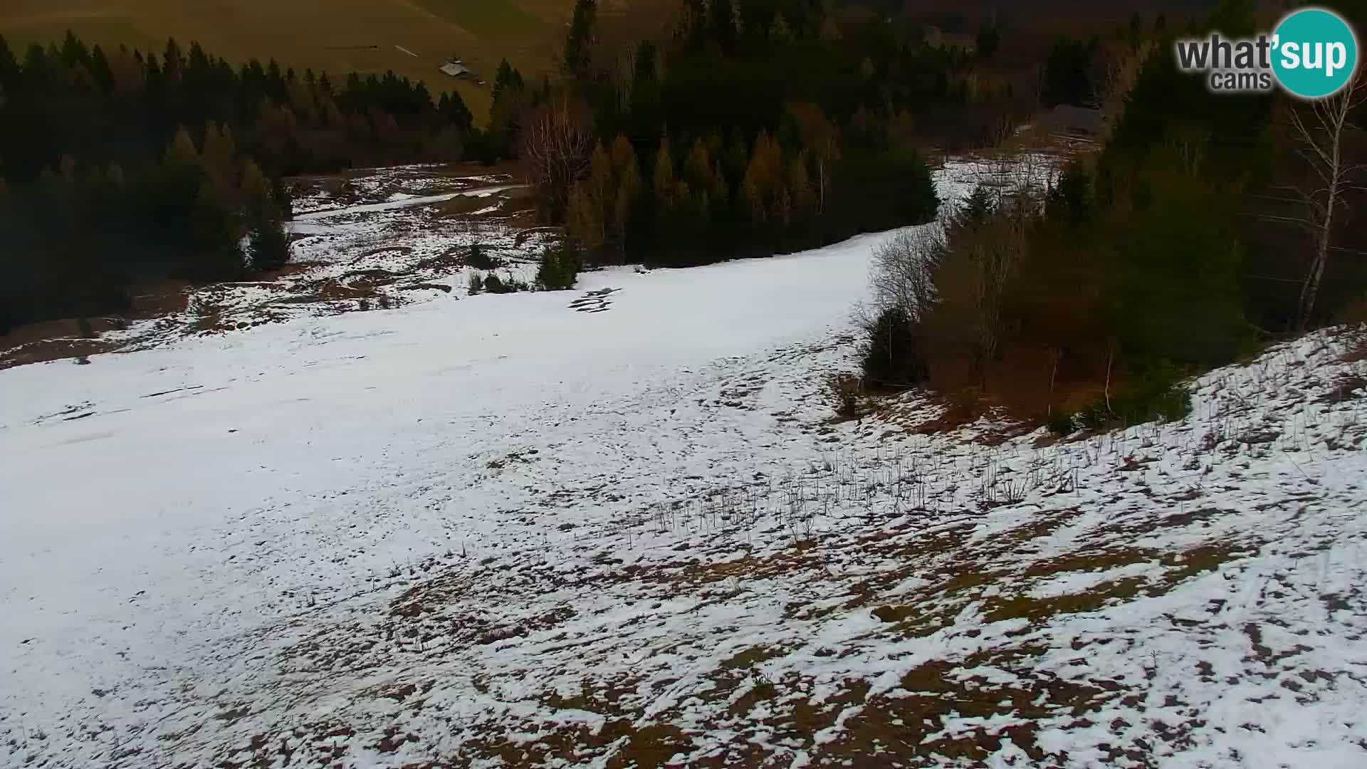 Vitranc Kranjska Gora webcam | VITRANC 1 stazione superiore