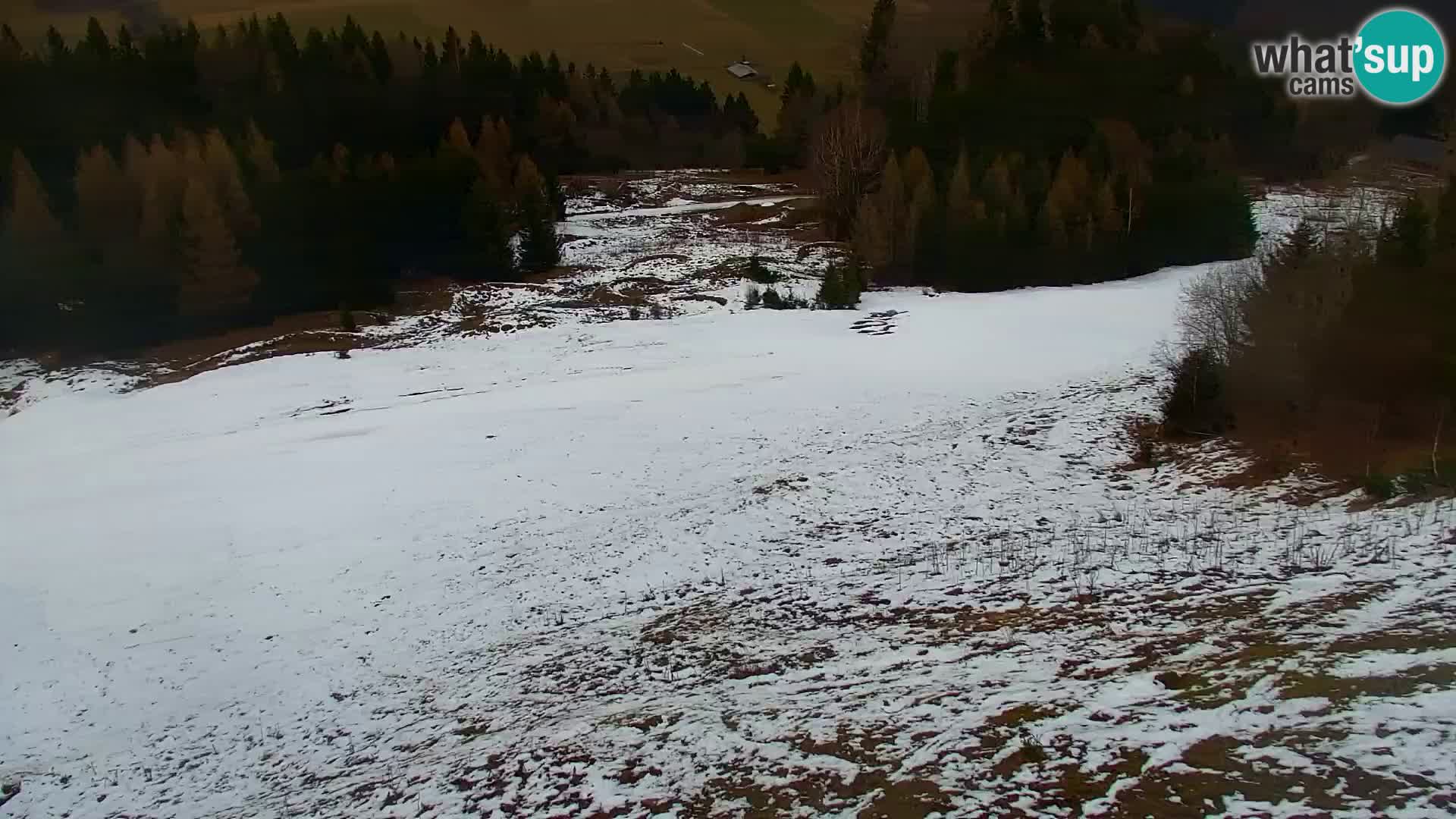 Kranjska Gora livecam VITRANC 1 | estación superior