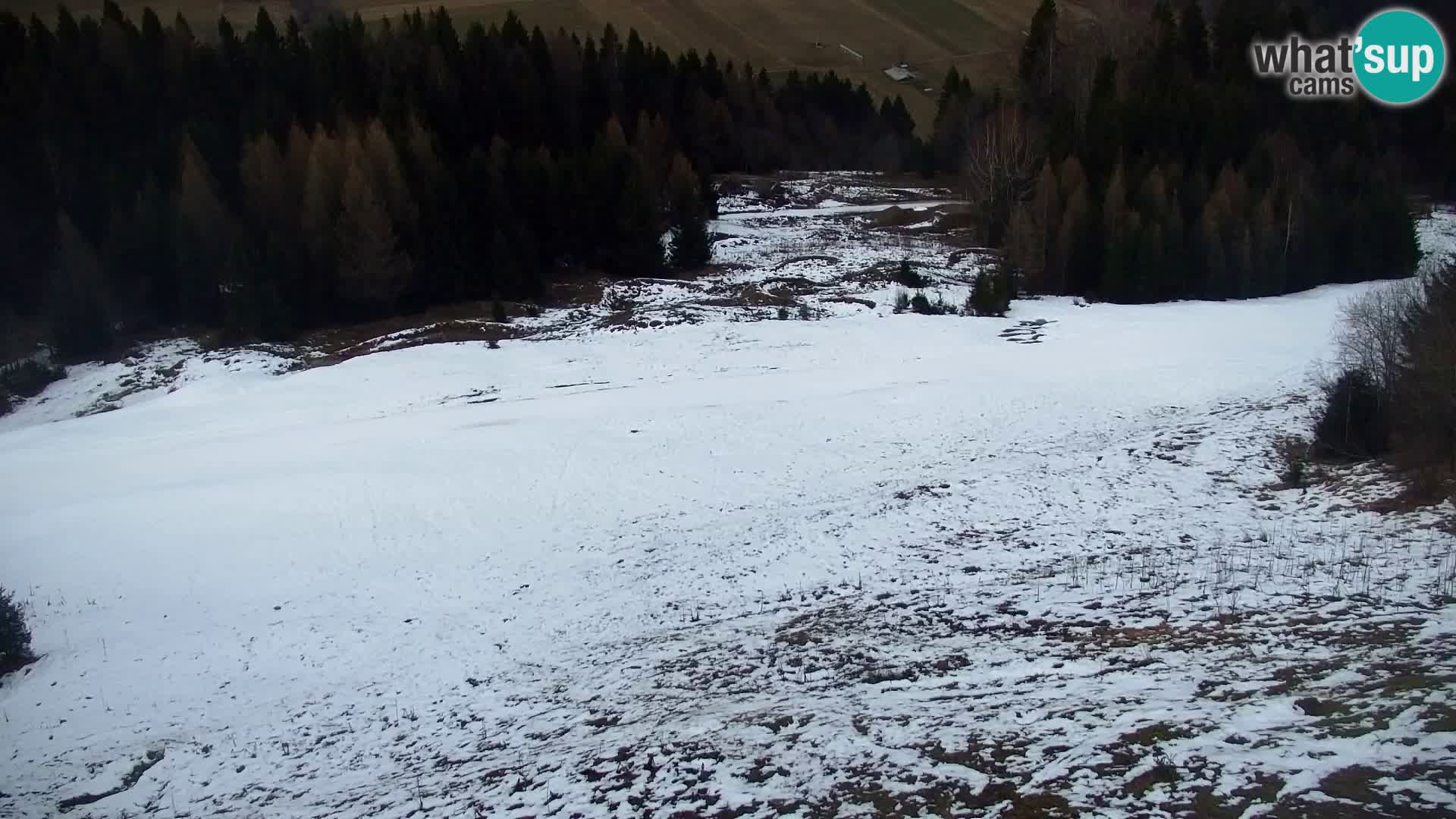 Kranjska Gora livecam VITRANC 1 | estación superior