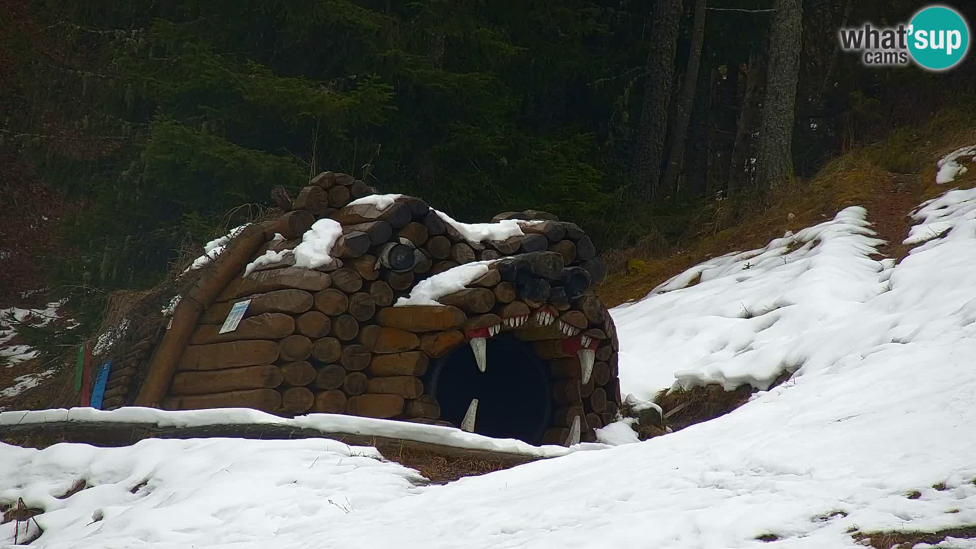 Kranjska Gora web kamera Vitranc | VITRANC 1 gornja postaja