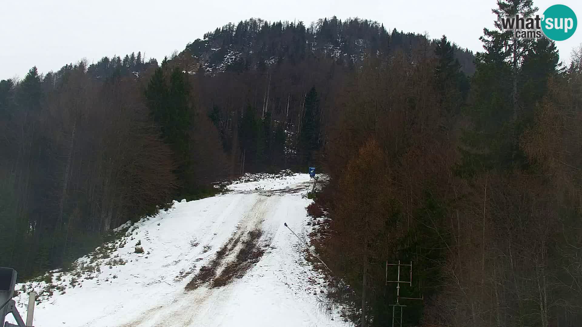 Kranjska Gora webcam VITRANC 1 | obere Station