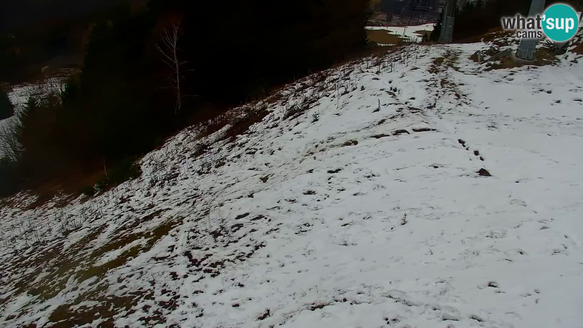 Vitranc Kranjska Gora webcam | VITRANC 1 stazione superiore