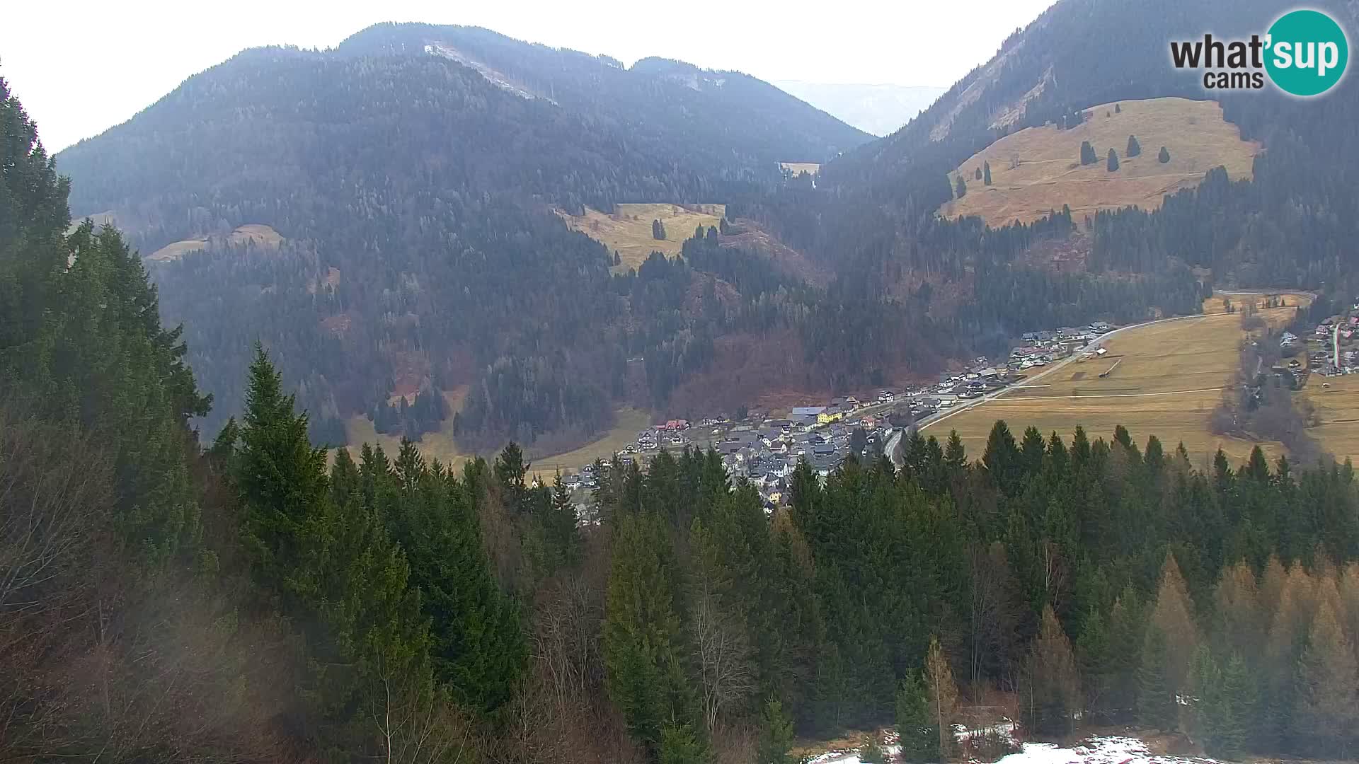 Vitranc Kranjska Gora webcam | VITRANC 1 stazione superiore