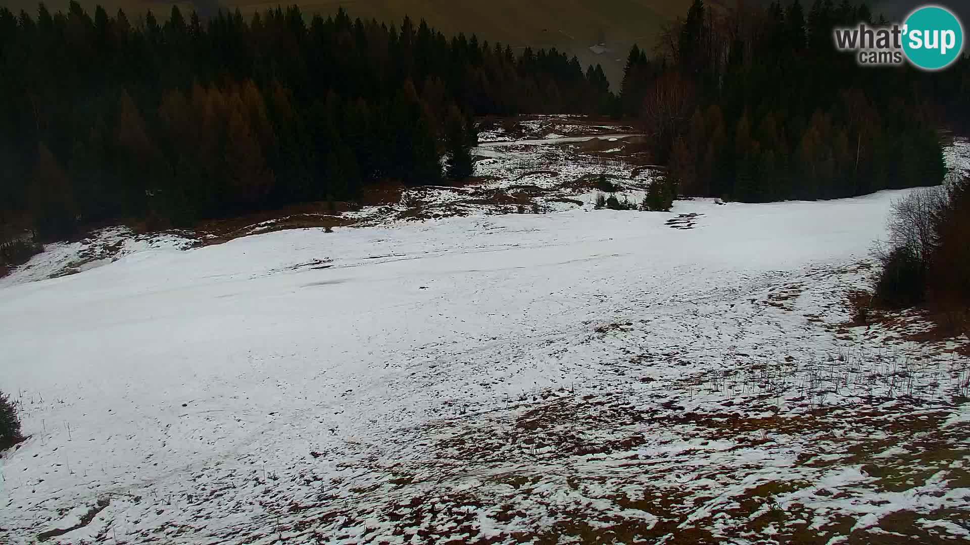 Vitranc Kranjska Gora webcam | VITRANC 1 stazione superiore