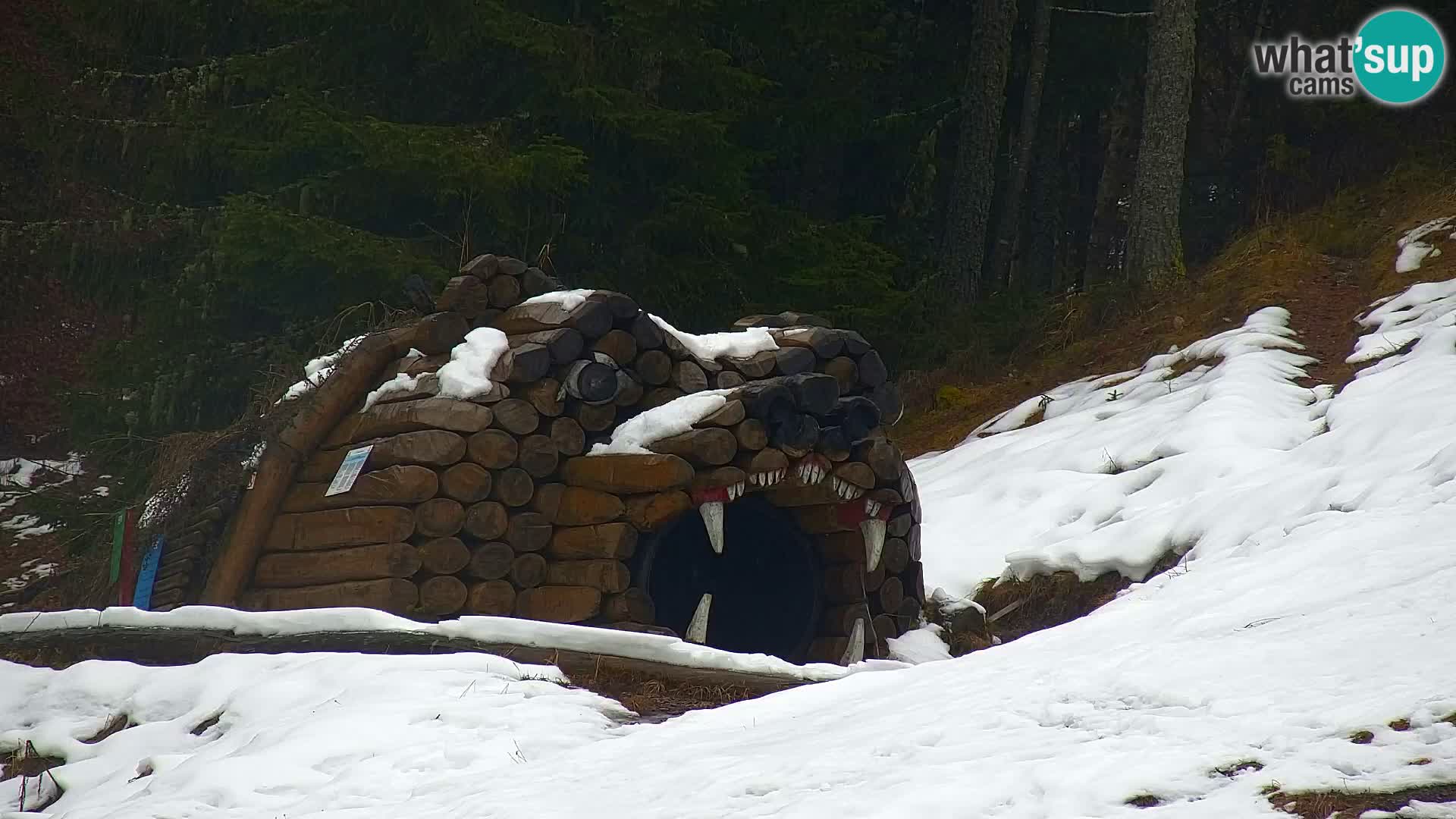 Vitranc Kranjska Gora webcam | VITRANC 1 stazione superiore