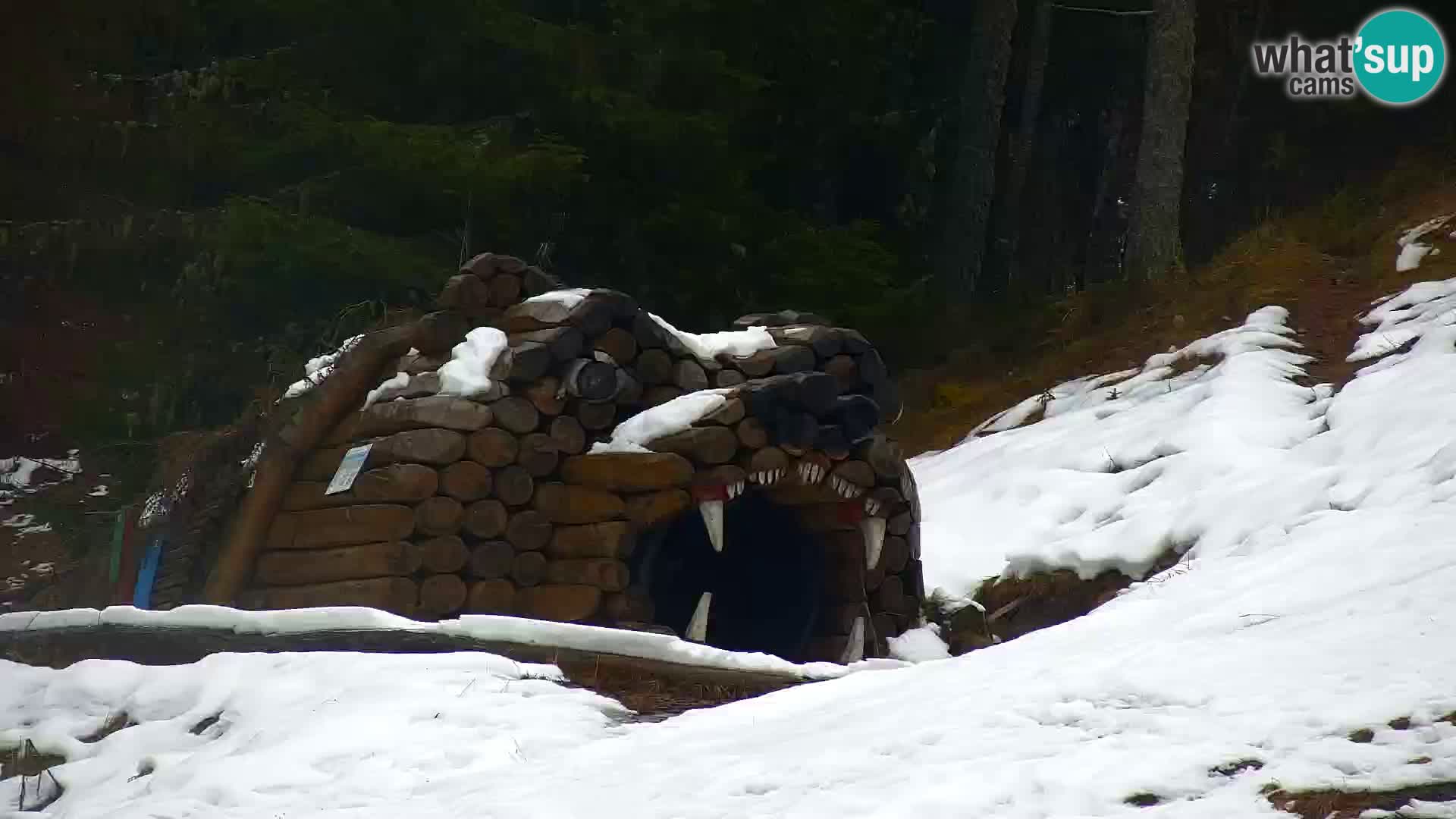 Kranjska Gora web kamera Vitranc | VITRANC 1 gornja postaja