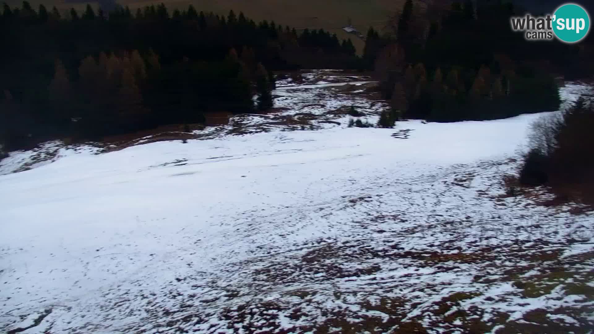 Kranjska Gora livecam VITRANC 1 | estación superior