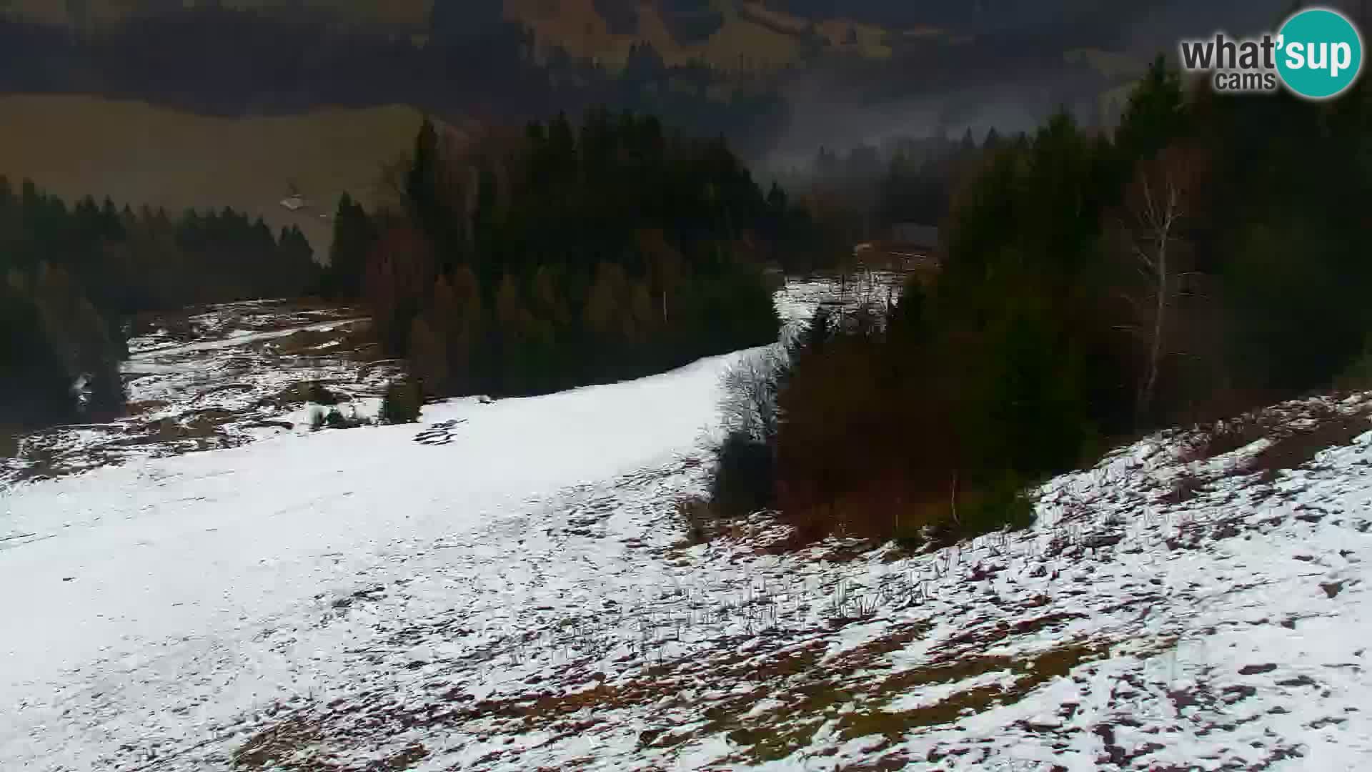 Vitranc Kranjska Gora webcam | VITRANC 1 stazione superiore