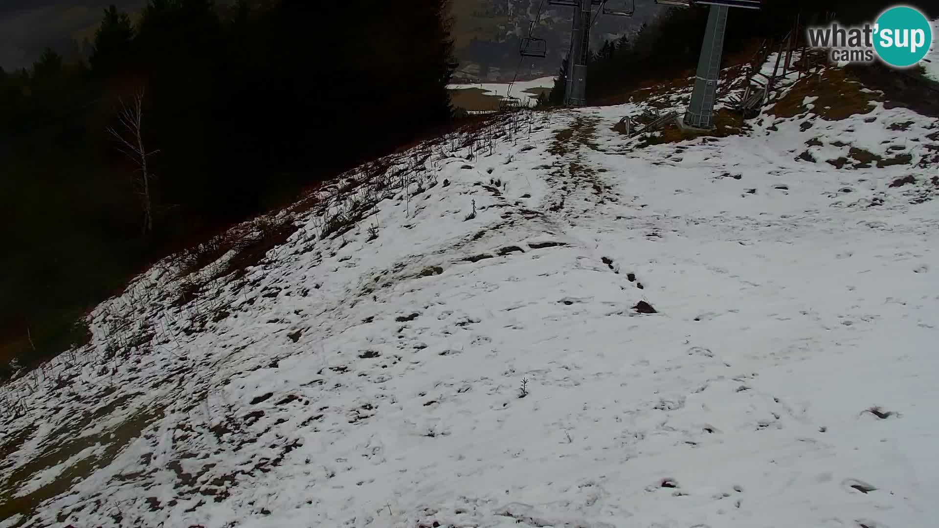 Vitranc Kranjska Gora webcam | VITRANC 1 stazione superiore