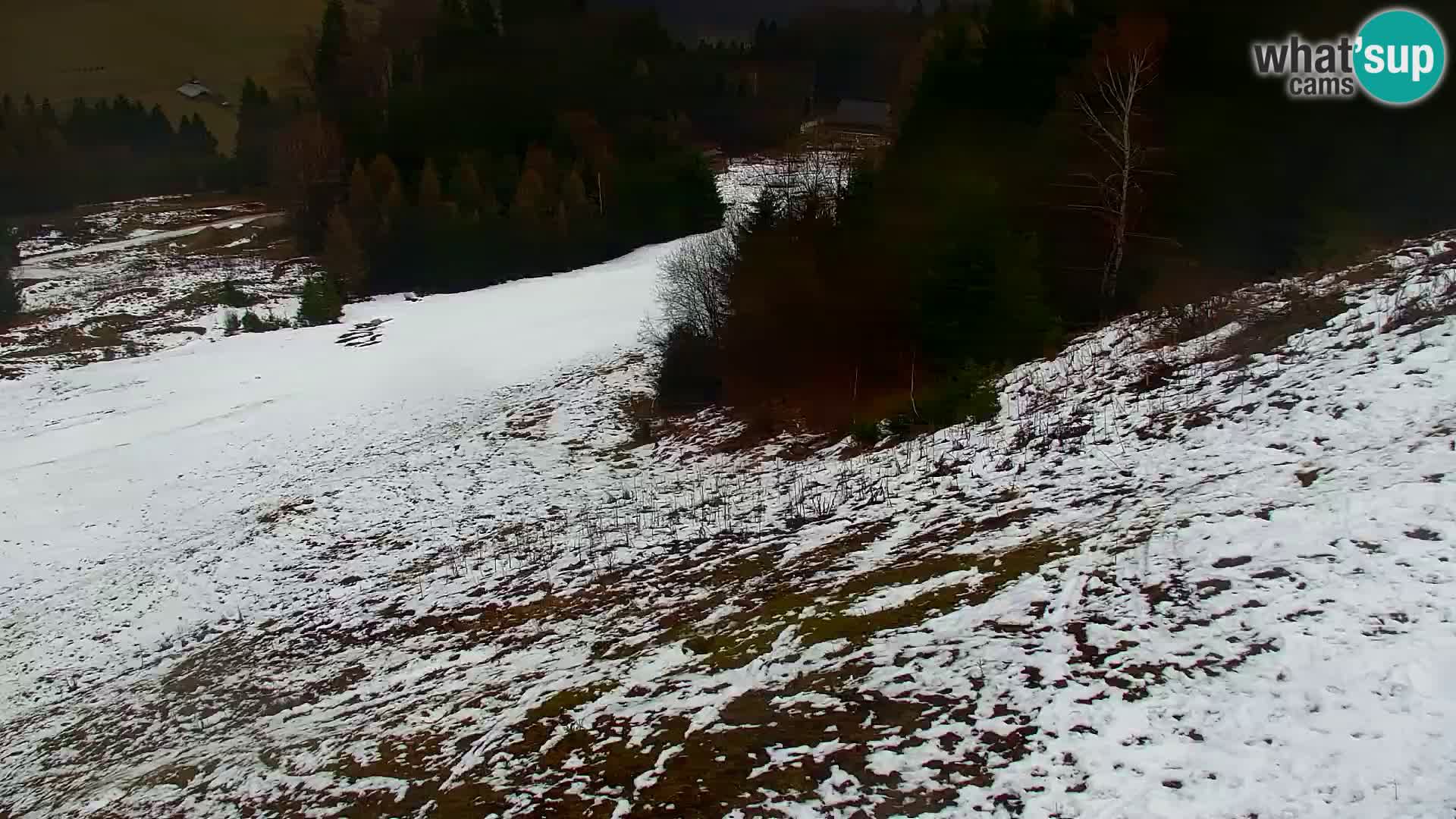 Kranjska Gora kamera VITRANC 1 | Zgornja postaja