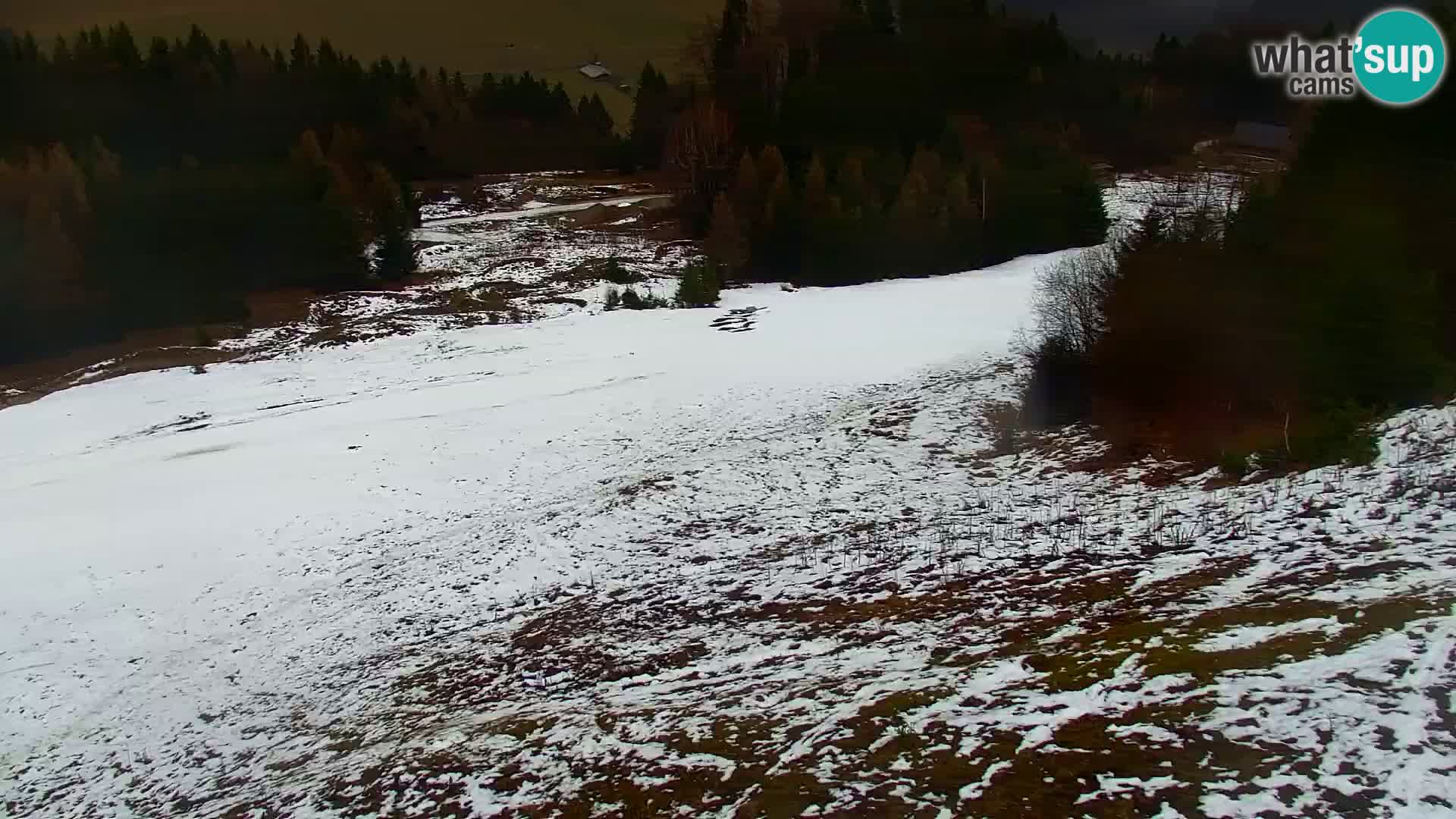 Vitranc Kranjska Gora webcam | VITRANC 1 stazione superiore