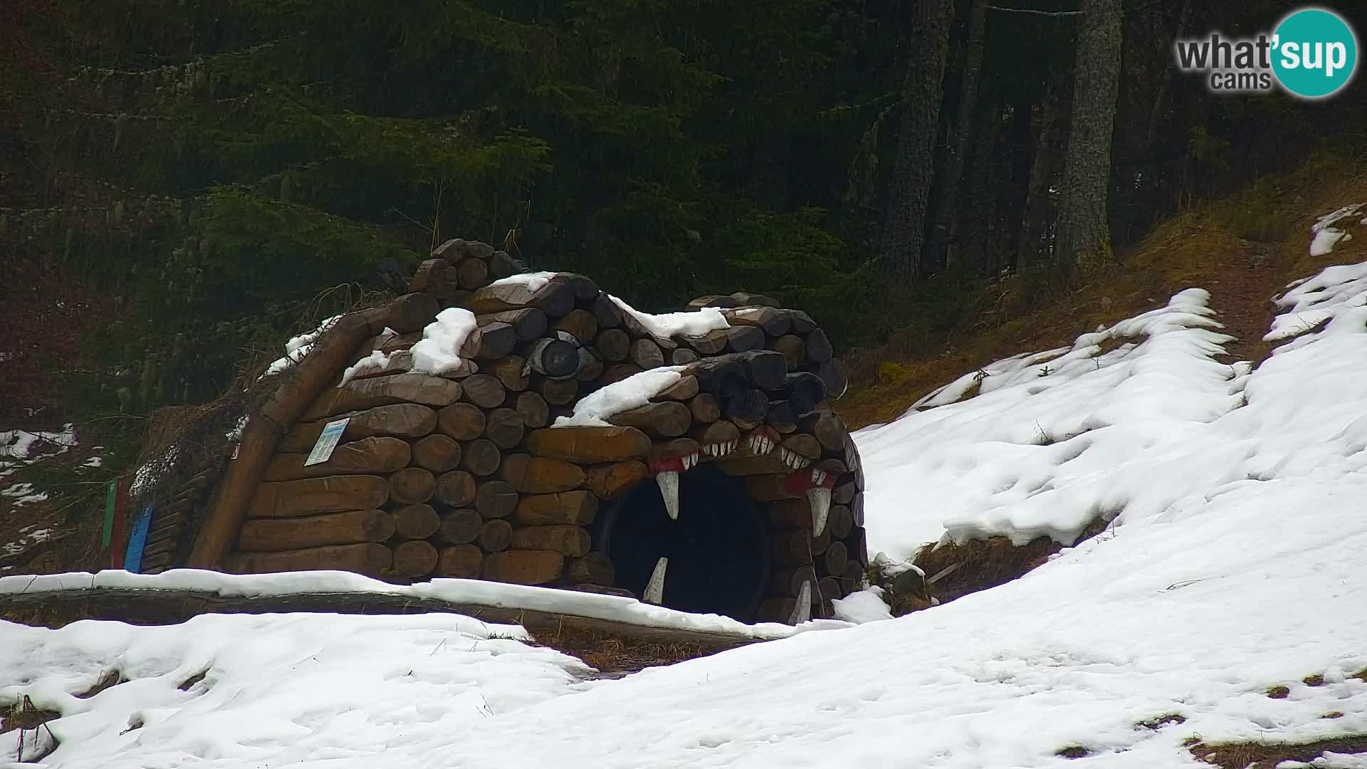 Kranjska Gora kamera VITRANC 1 | Zgornja postaja