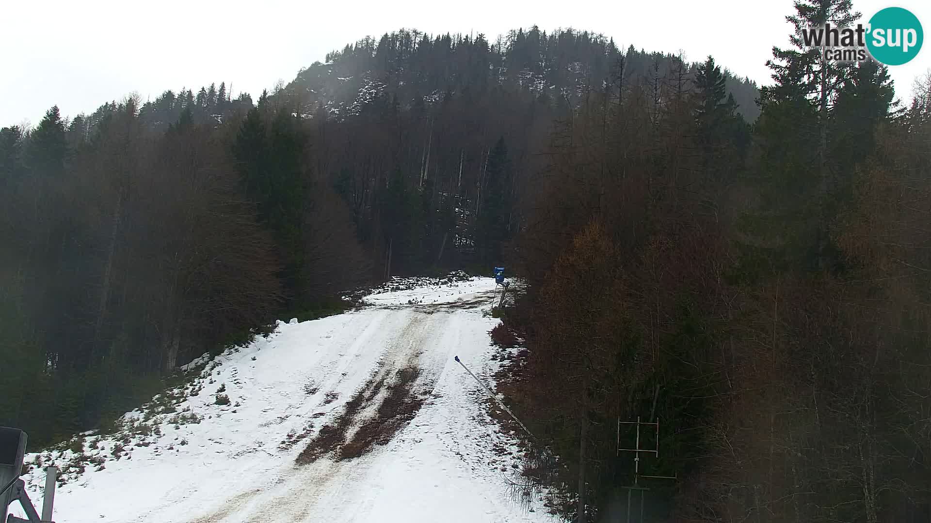 Estación de esquí Kranjska Gora | Estación superior VITRANC 1