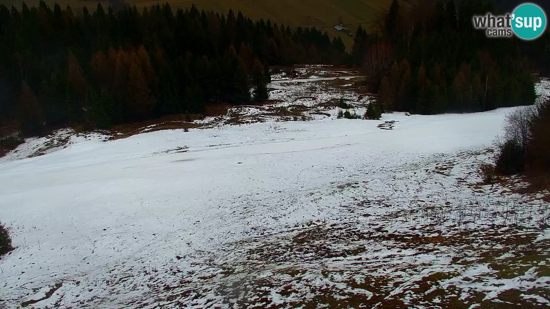 Kranjska Gora livecam VITRANC 1 | estación superior