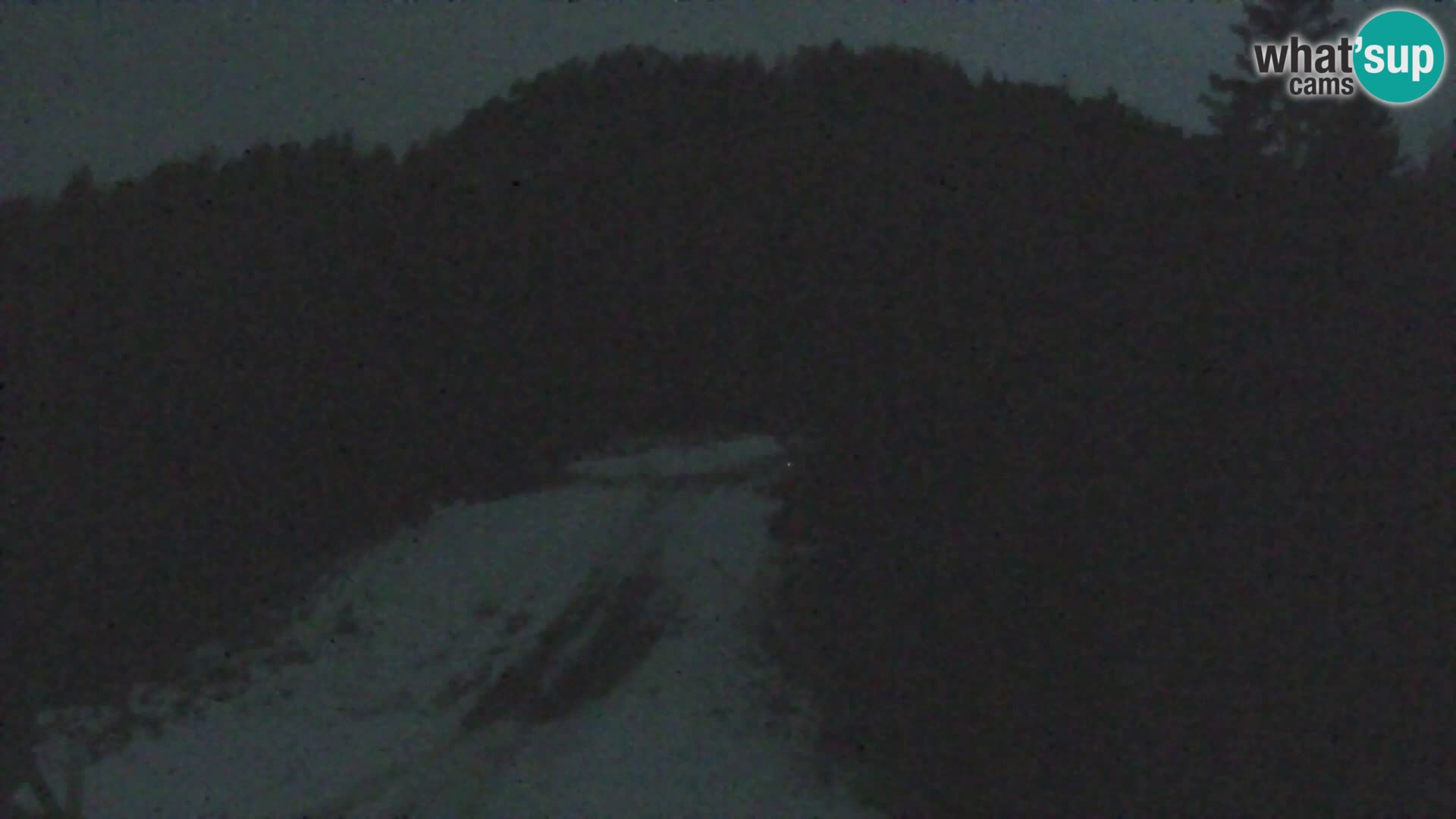 Vitranc Kranjska Gora webcam | VITRANC 1 stazione superiore