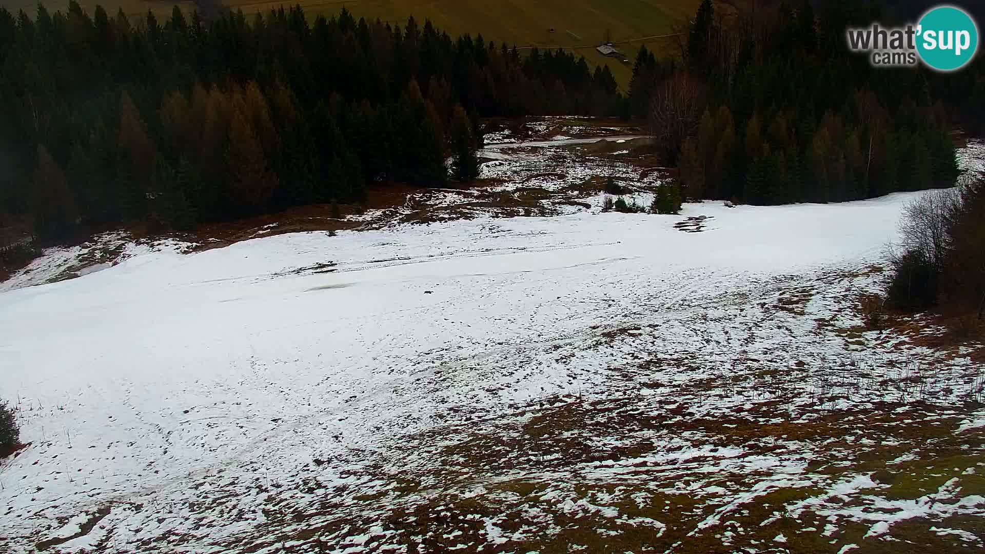 Kranjska Gora web kamera Vitranc | VITRANC 1 gornja postaja