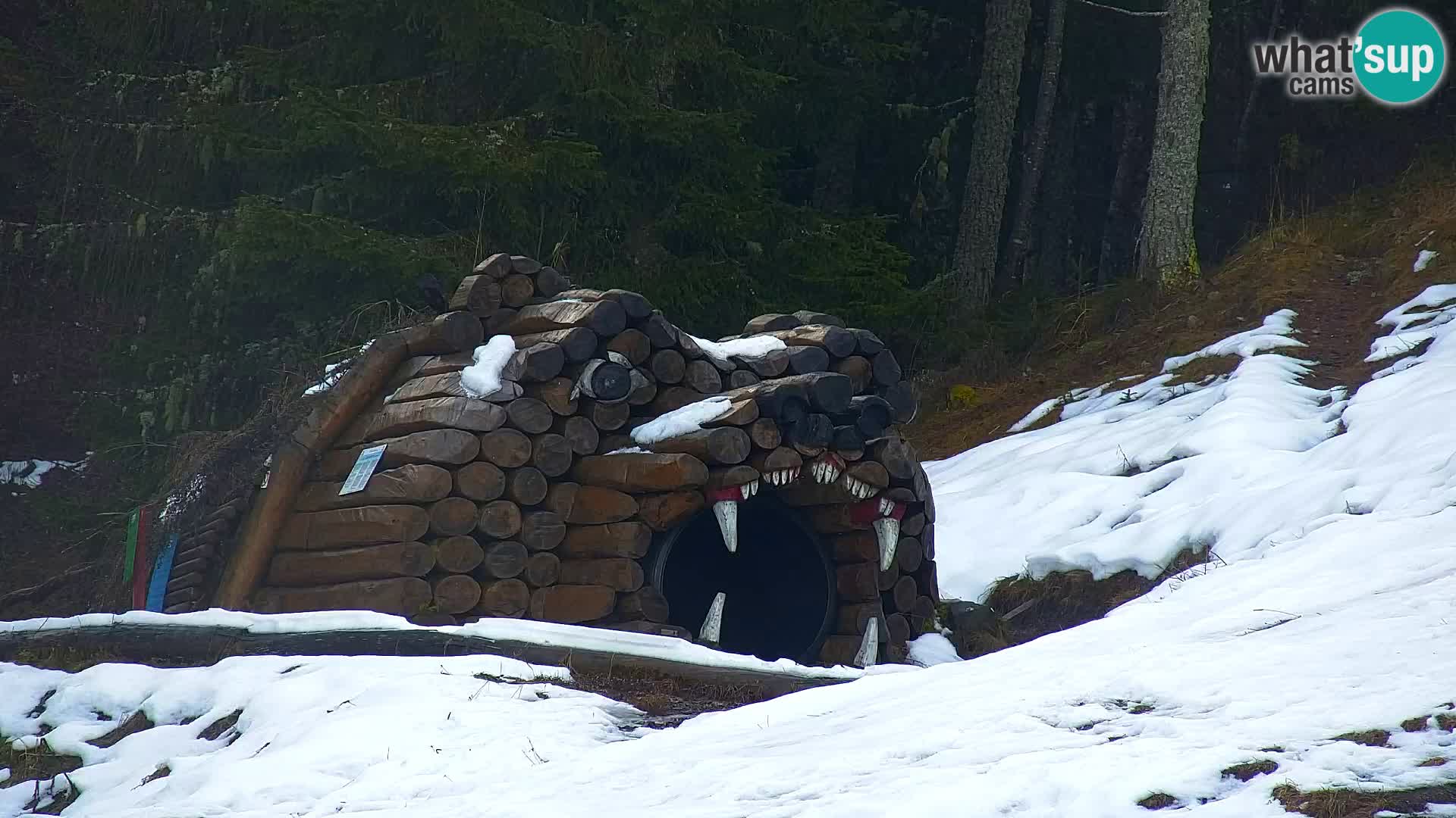 Vitranc Kranjska Gora webcam | VITRANC 1 stazione superiore