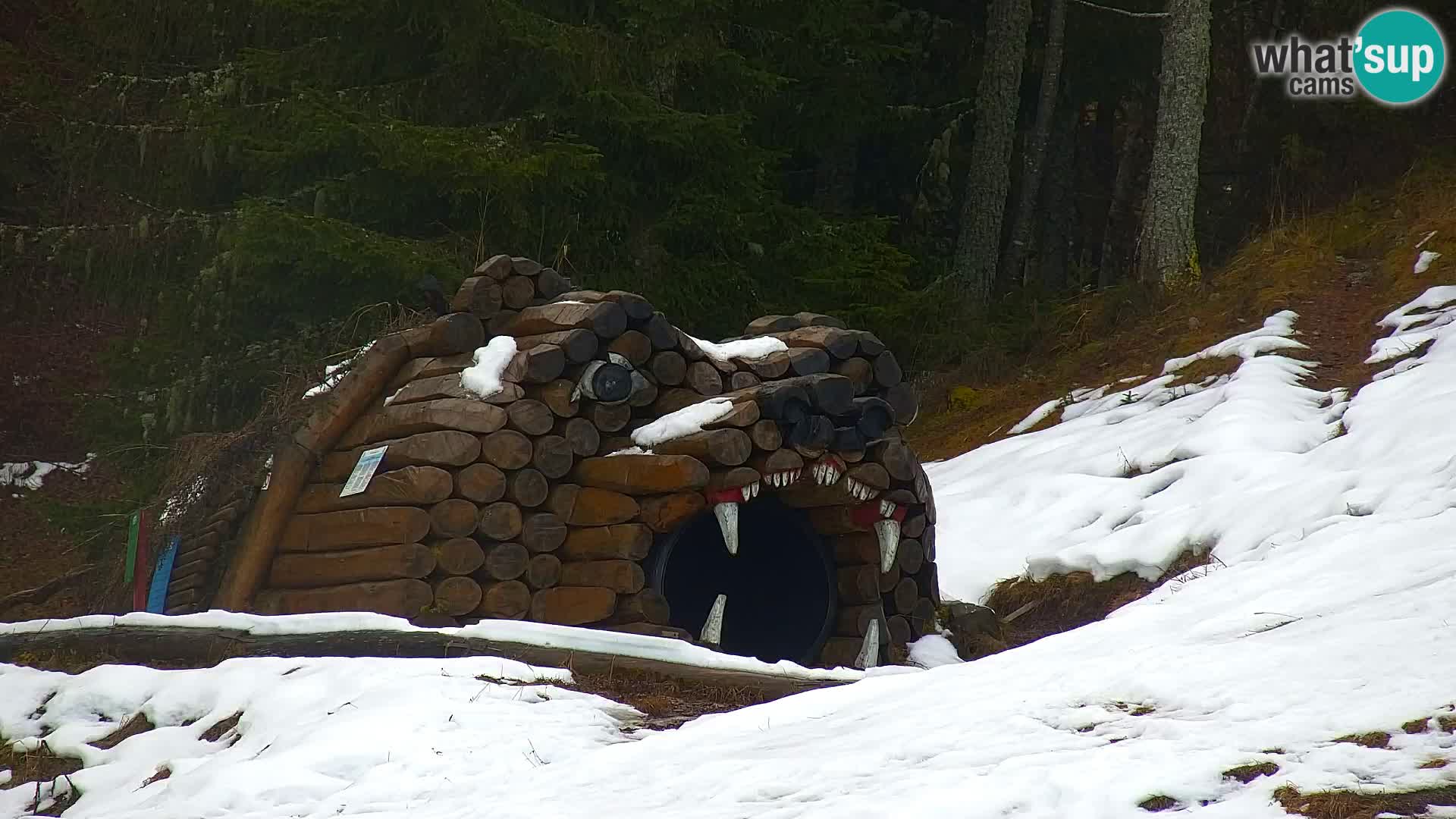 Kranjska Gora kamera VITRANC 1 | Zgornja postaja