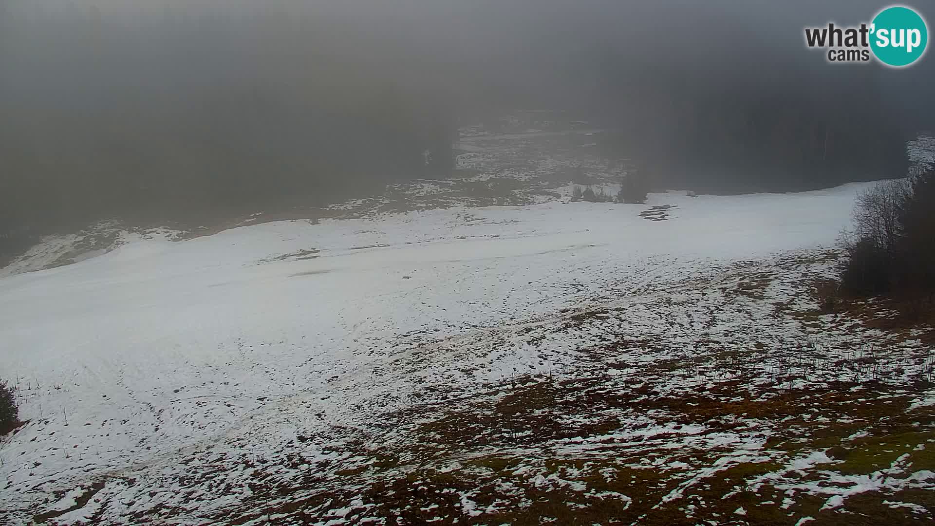 Kranjska Gora livecam VITRANC 1 | estación superior